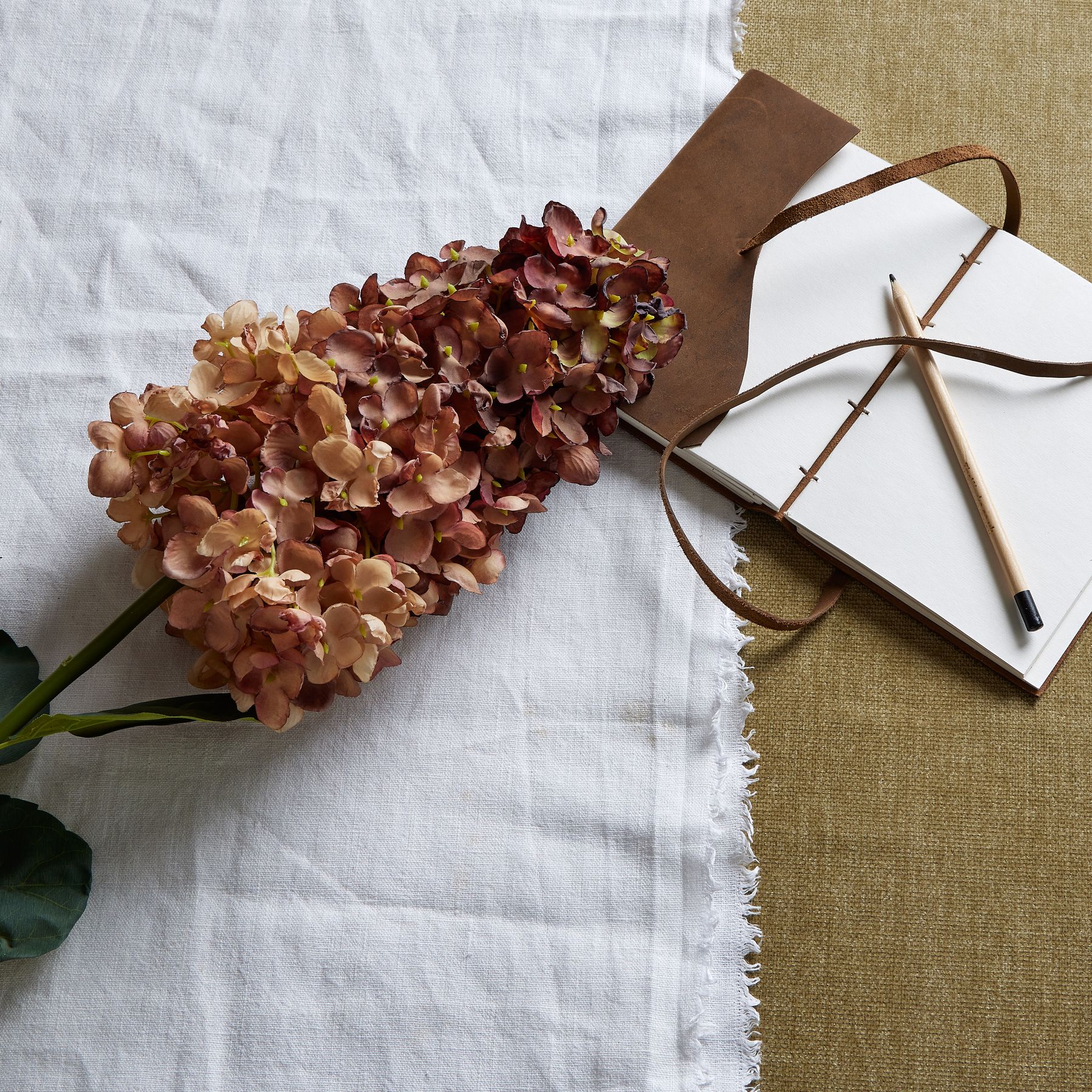 Spear Hydrangea - Burgundy - Corinthia Corner