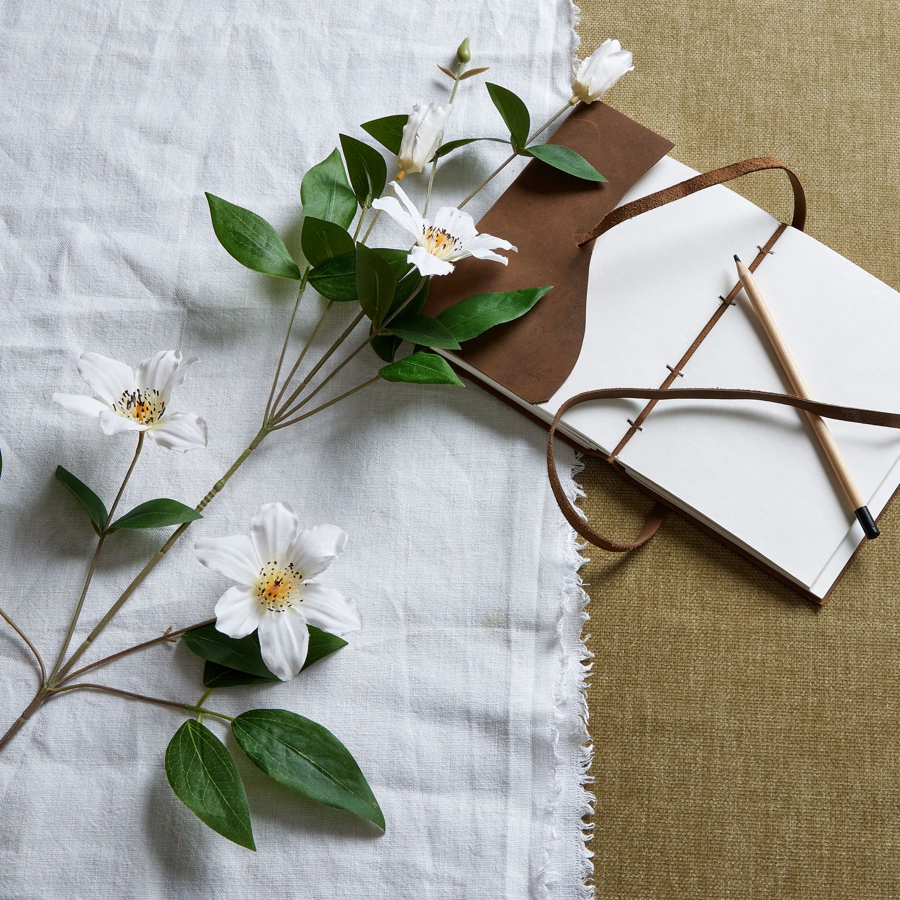 Florida Clematis - White - Corinthia Corner