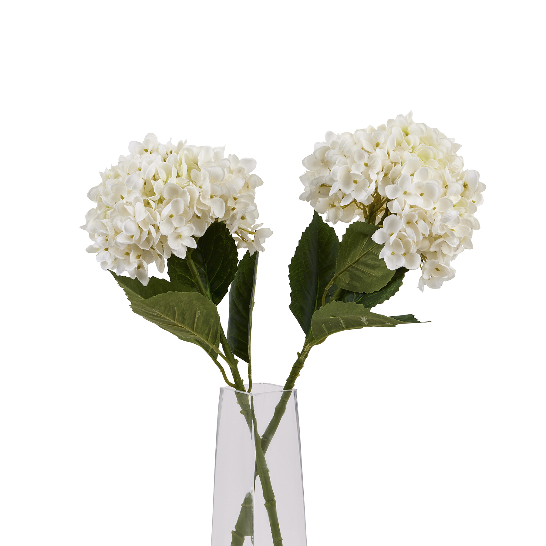 Hydrangea Stem - White - Corinthia Corner
