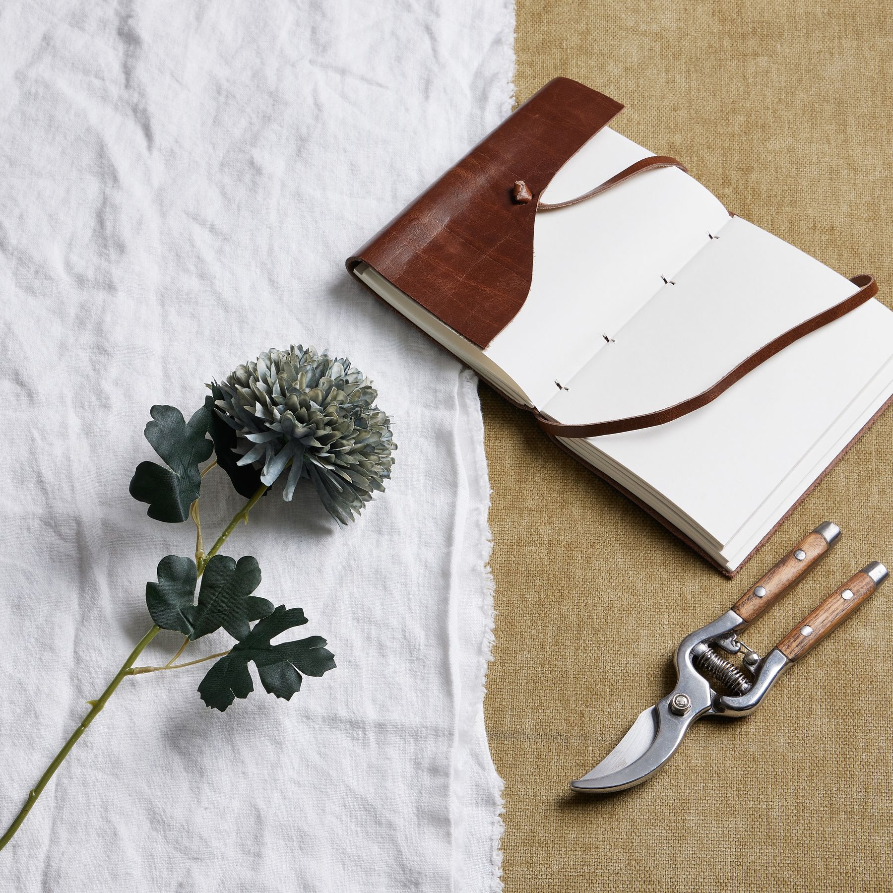 Pale Chrysanthemum - Green Blue - Corinthia Corner
