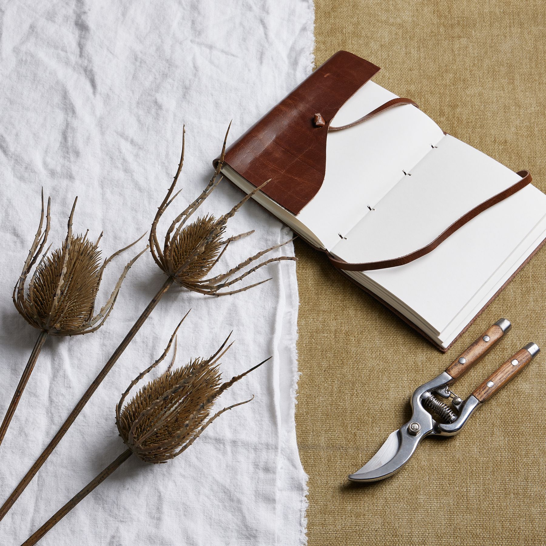 Large Triple Teasle Stem - Brown - Corinthia Corner