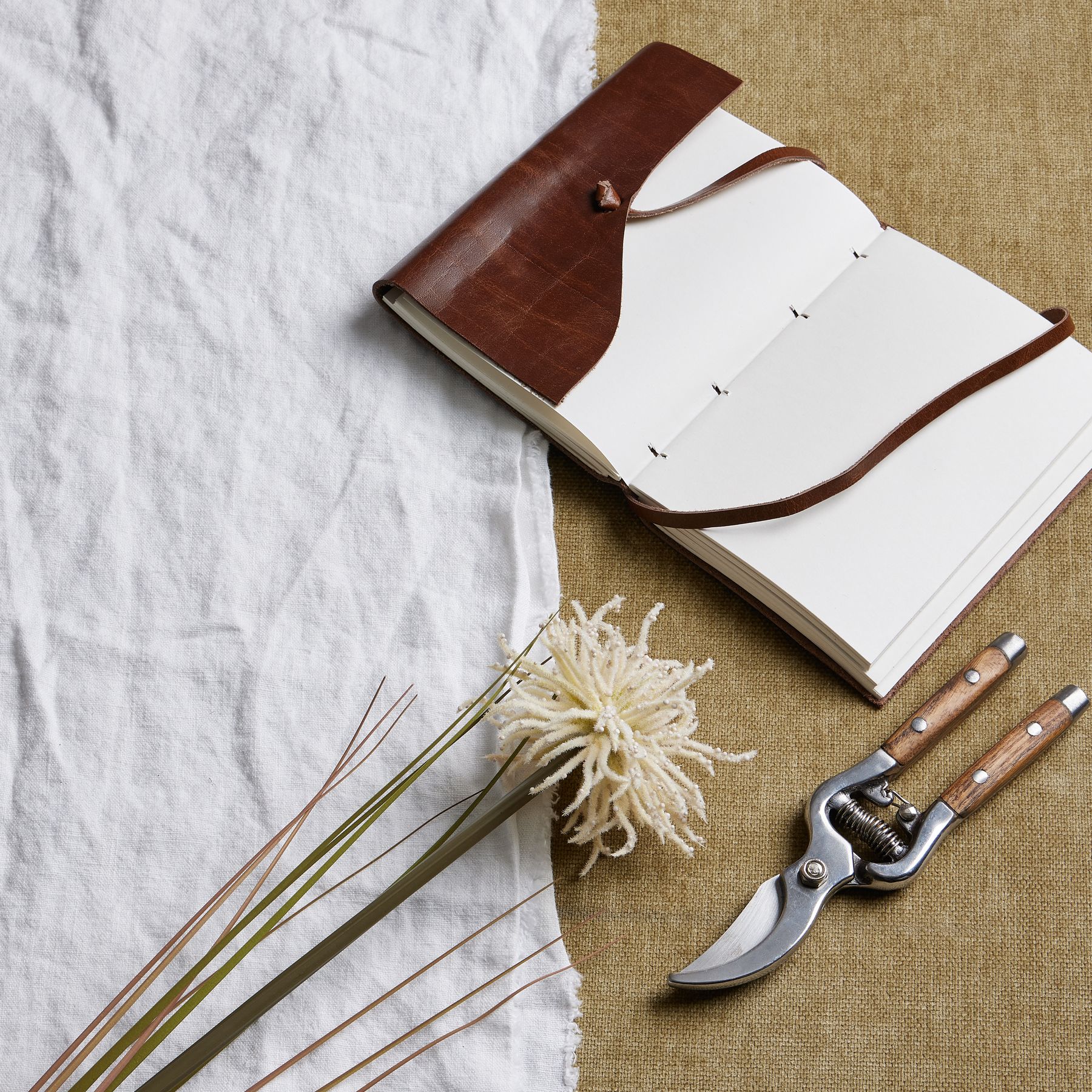 Aster Spider Chrysanthemum Stem - Cream - Corinthia Corner