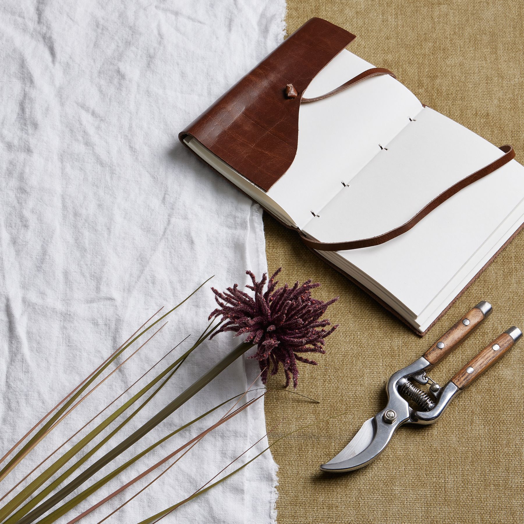 Aster Spider Chrysanthemum Stem - Burgundy - Corinthia Corner