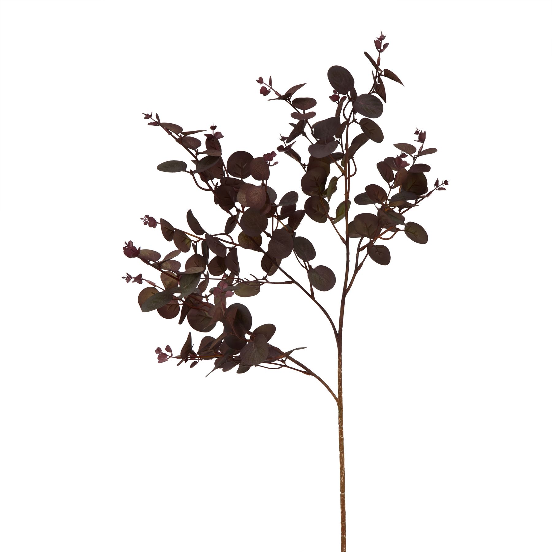 Burgo Eucalyptus Bunch - Corinthia Corner