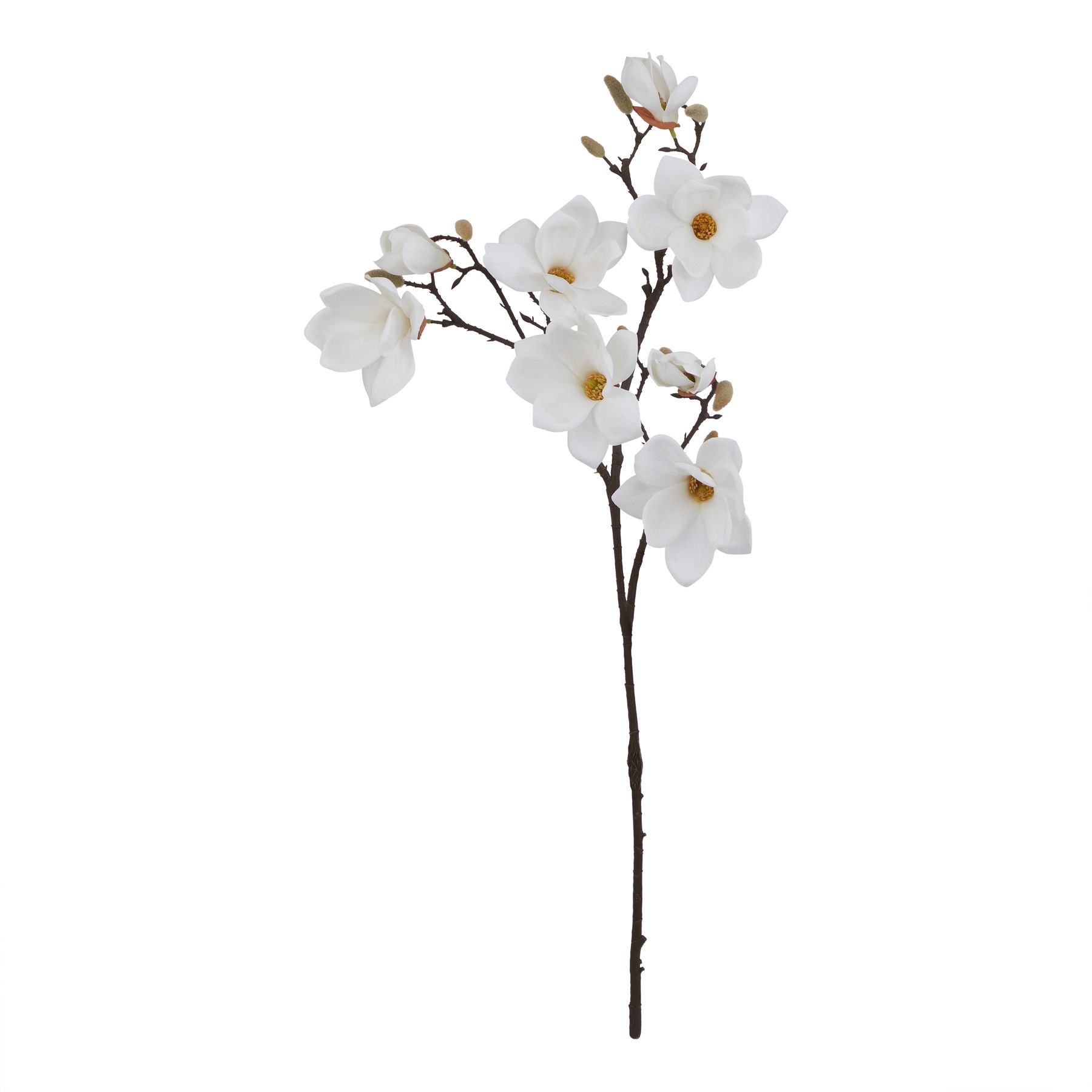 Natural Outdoor Collection White Magnolia Stem - Corinthia Corner