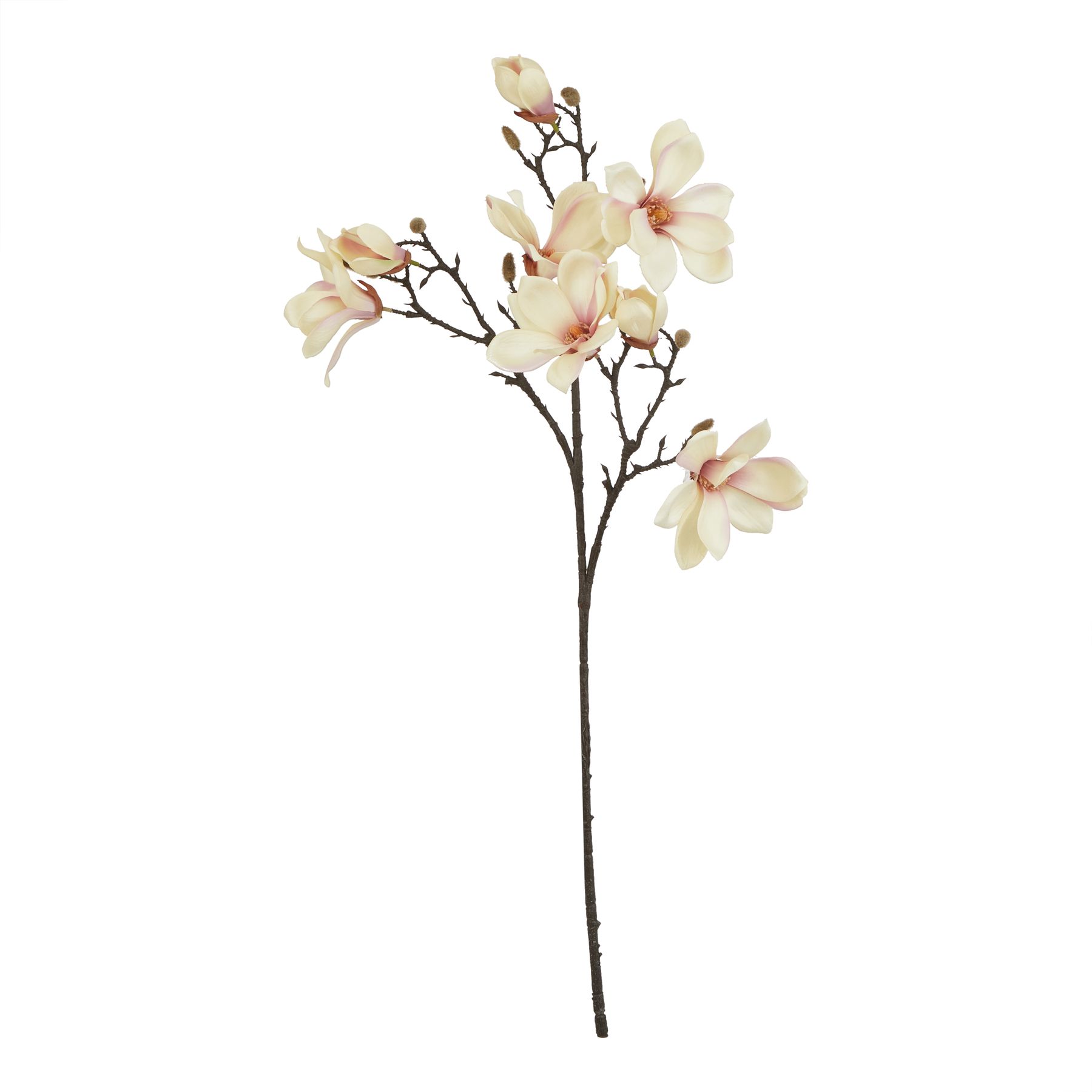 Natural Outdoor Collection Pale Apricot Magnolia Stem