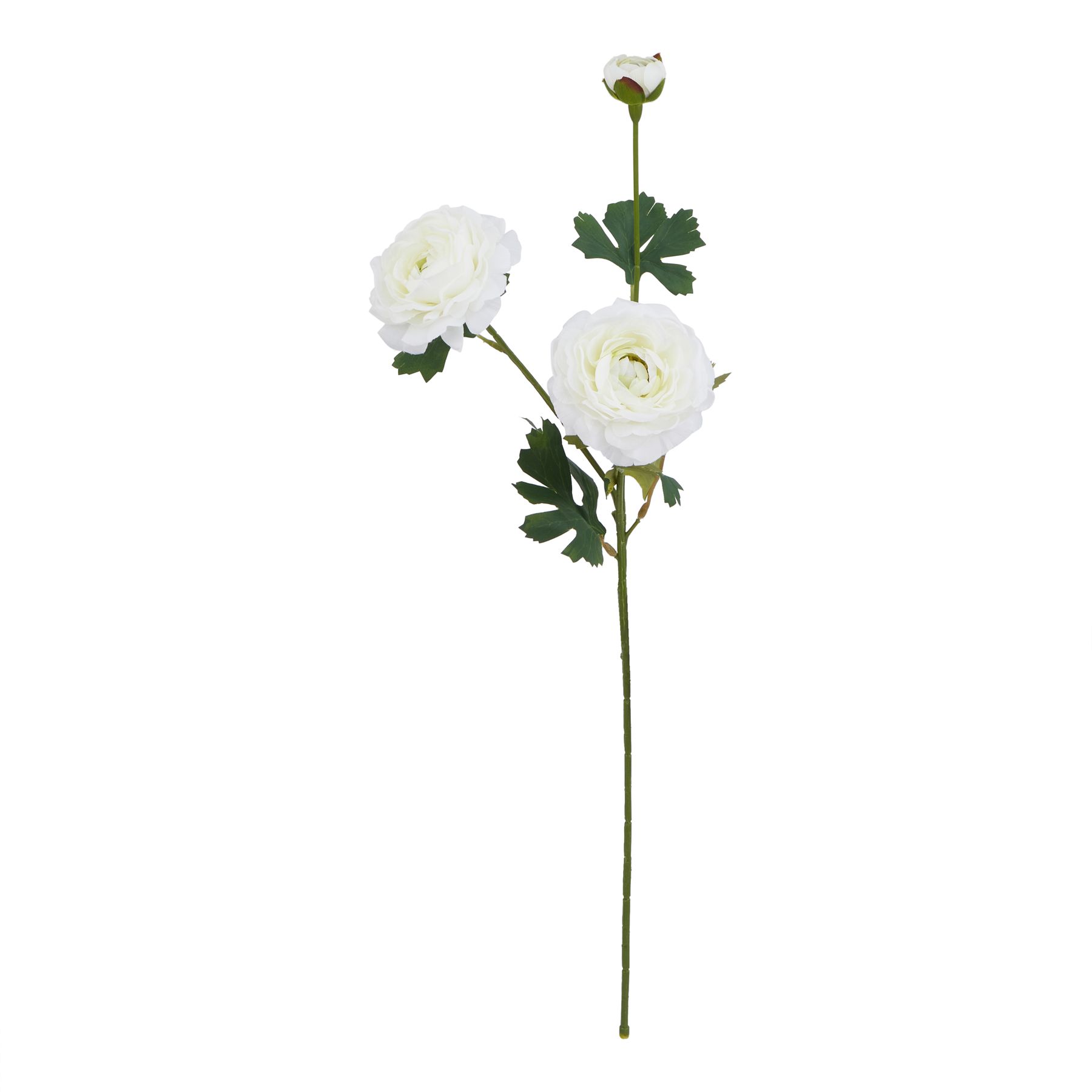 Natural Outdoor Collection White Ranunculus - Corinthia Corner