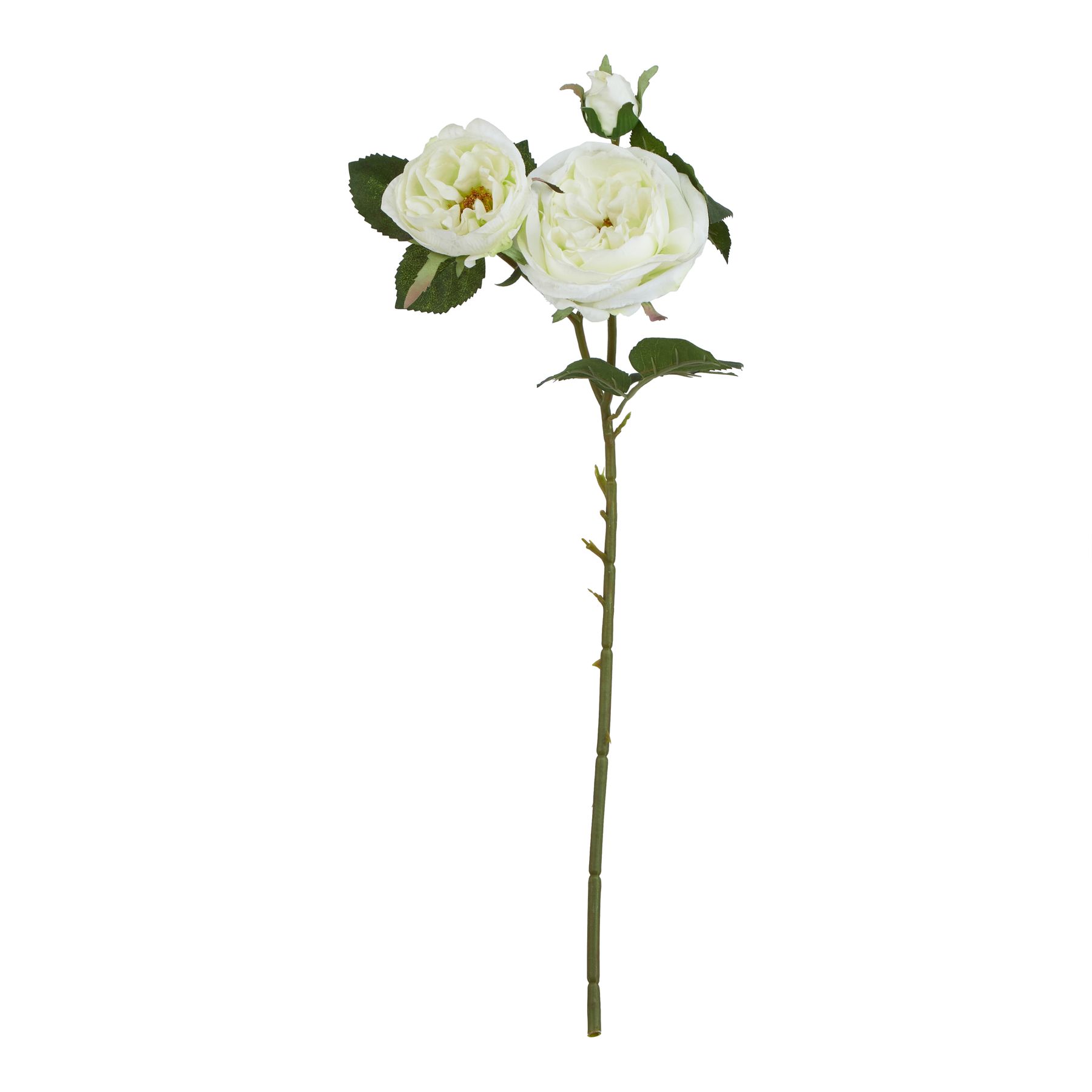 Natural Outdoor Collection White Charity Rose - Corinthia Corner