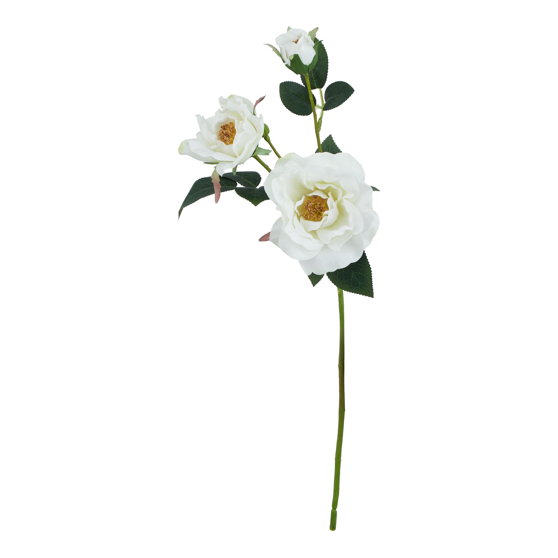 Natural Outdoor Collection White Tea Rose - Corinthia Corner