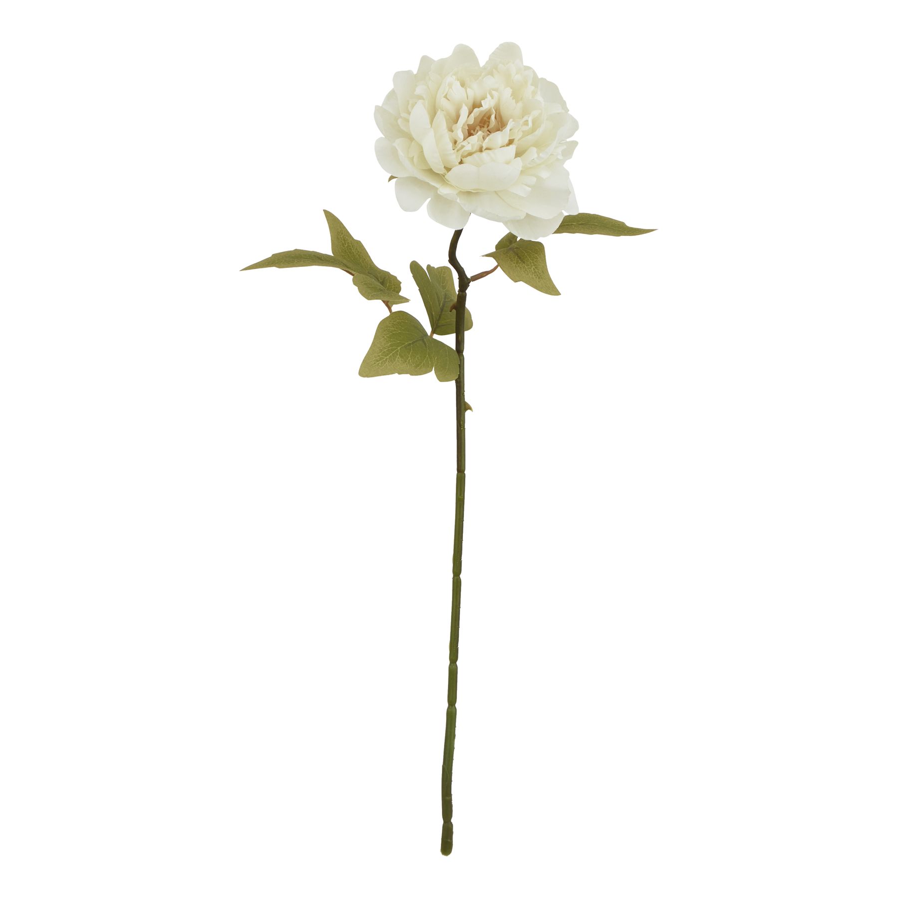 Natural Outdoor Collection White Peony - Corinthia Corner