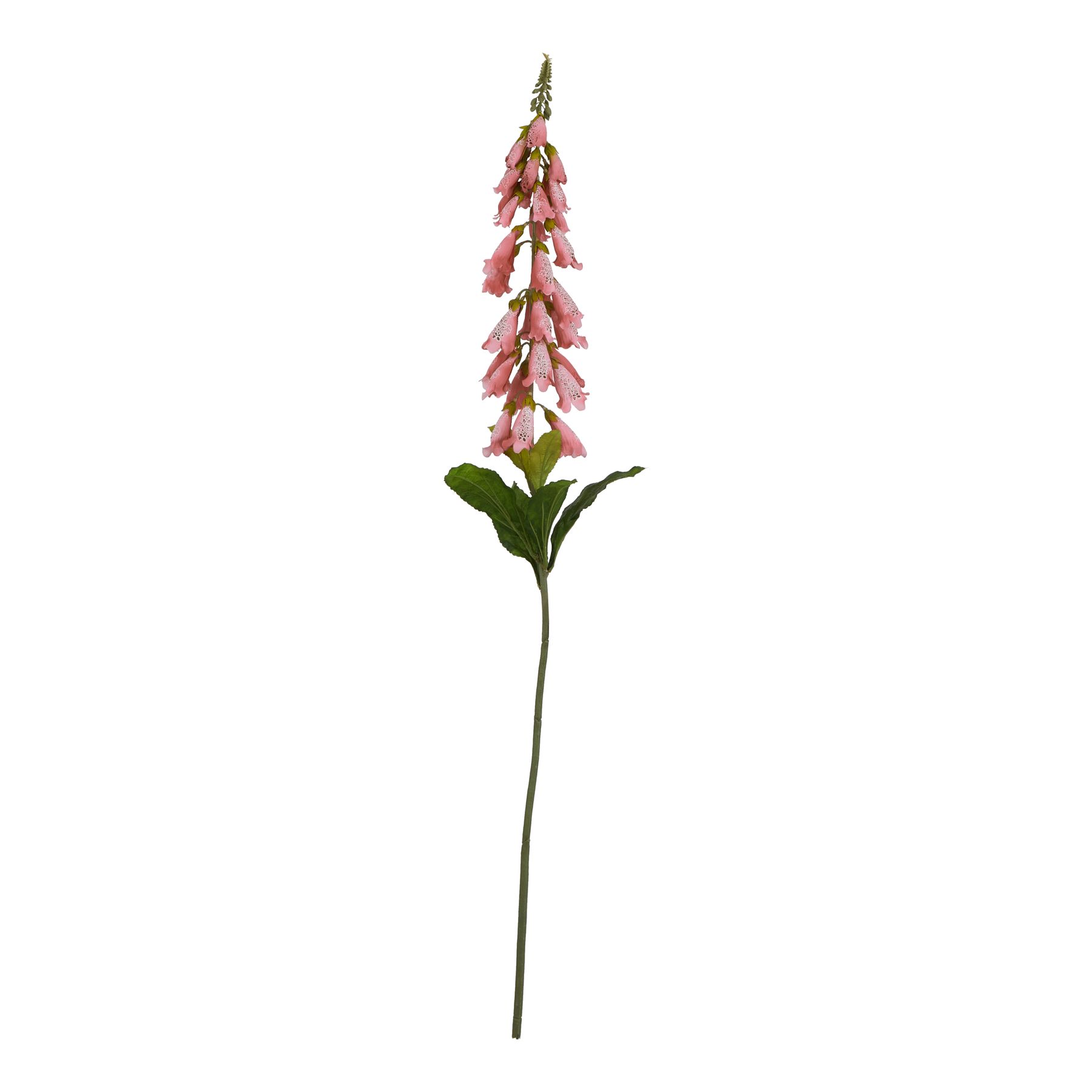 Natural Outdoor Collection Pale Pink Foxglove - Corinthia Corner