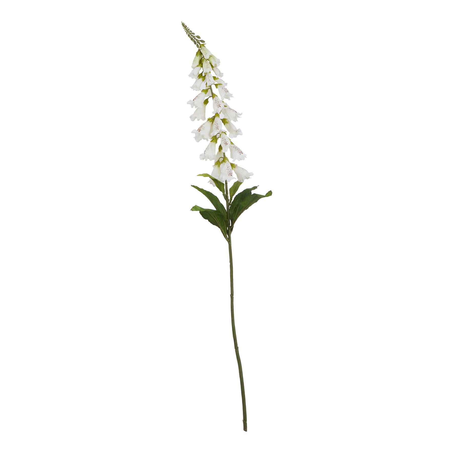 Natural Outdoor Collection White Foxglove - Corinthia Corner