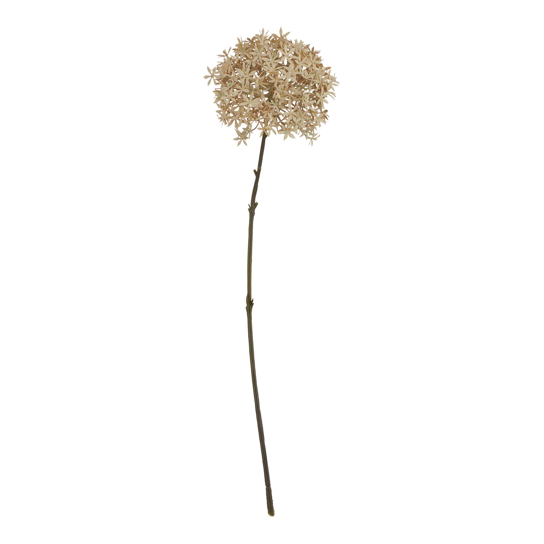 Fabric Coffee Allium - Corinthia Corner