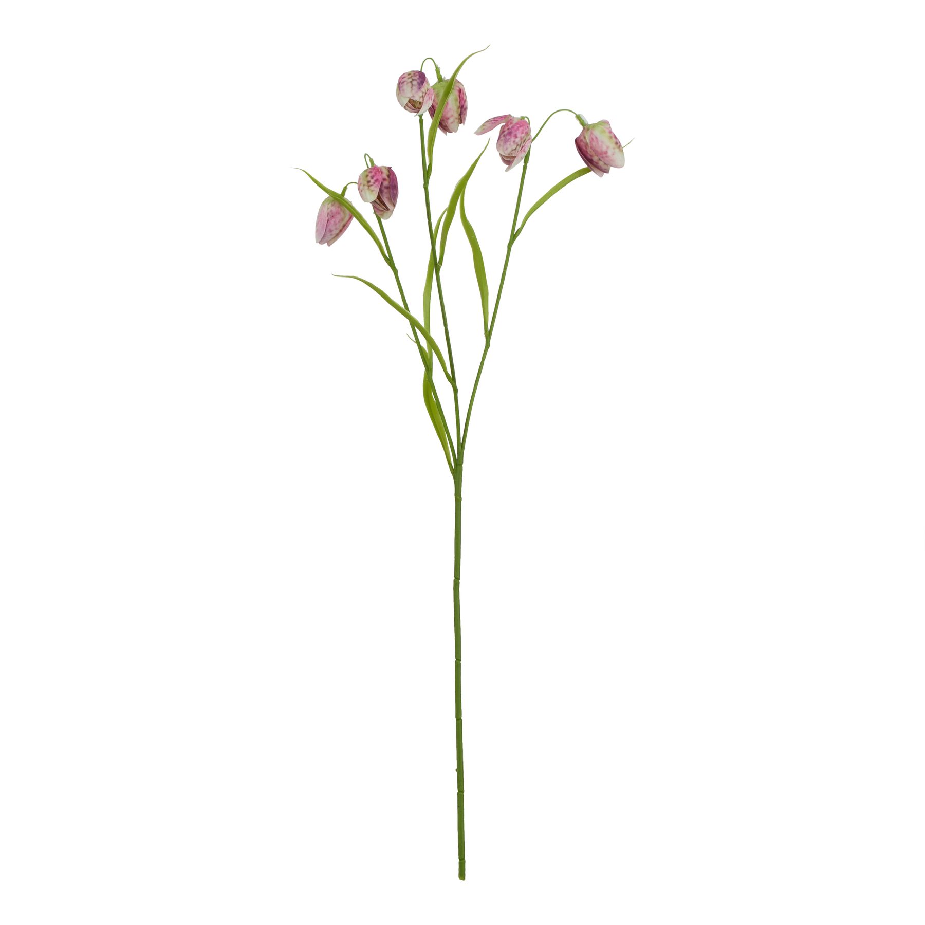 Natural Outdoor Collection Purple - Fritillaria Stem - Corinthia Corner