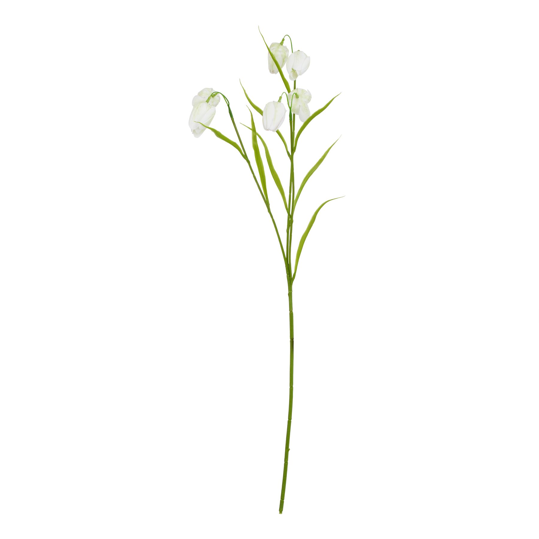Natural Outdoor Collection White Fritillaria Stem - Corinthia Corner