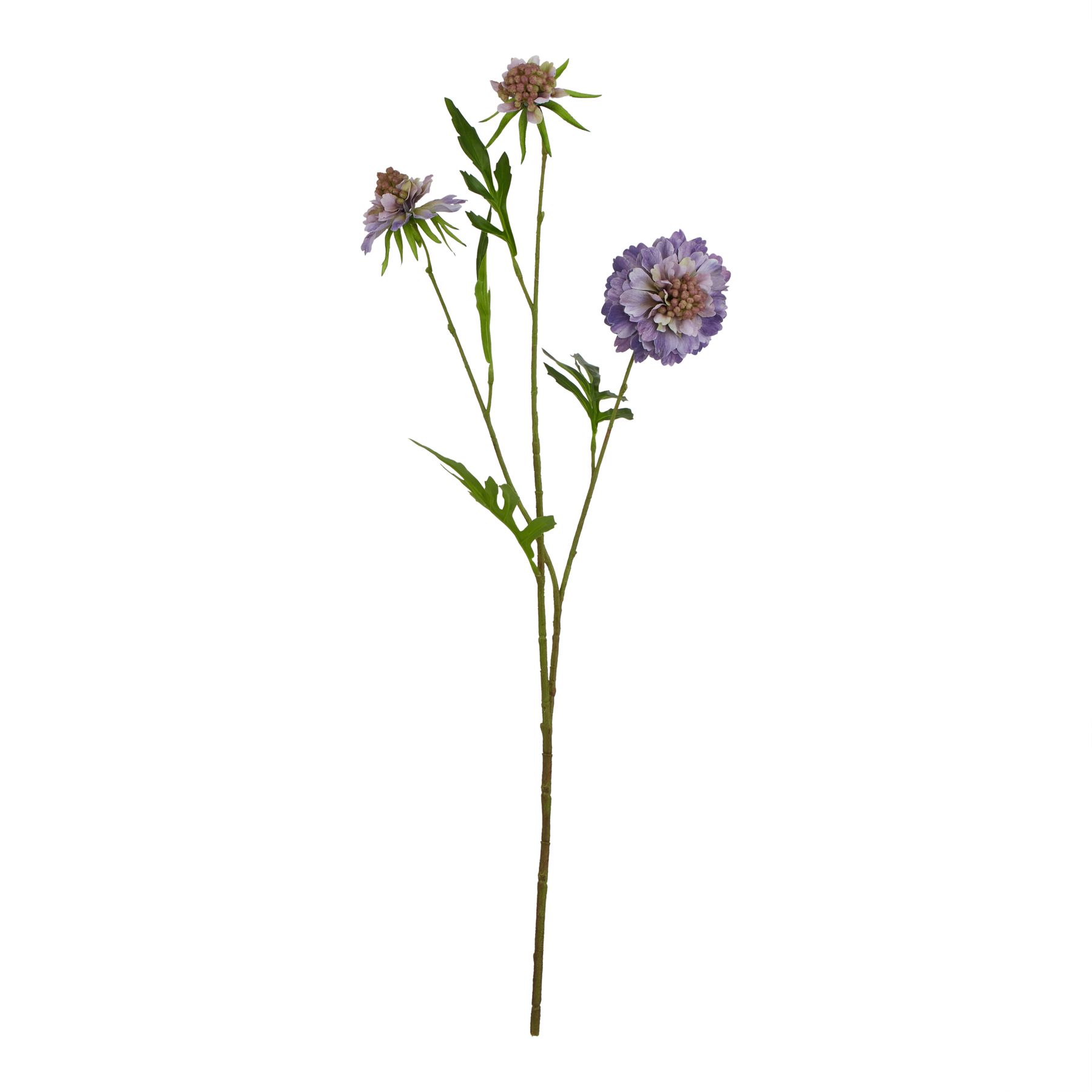 Natural Outdoor Collection Purple Scabious Stem - Corinthia Corner