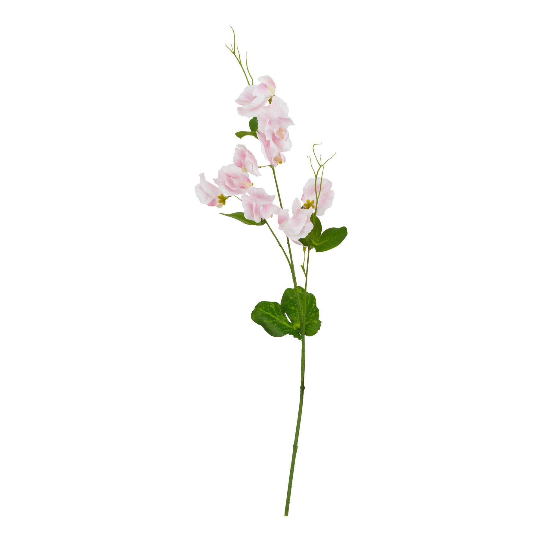 Natural Outdoor Collection Pale - Pink Sweetpea Stem - Corinthia Corner