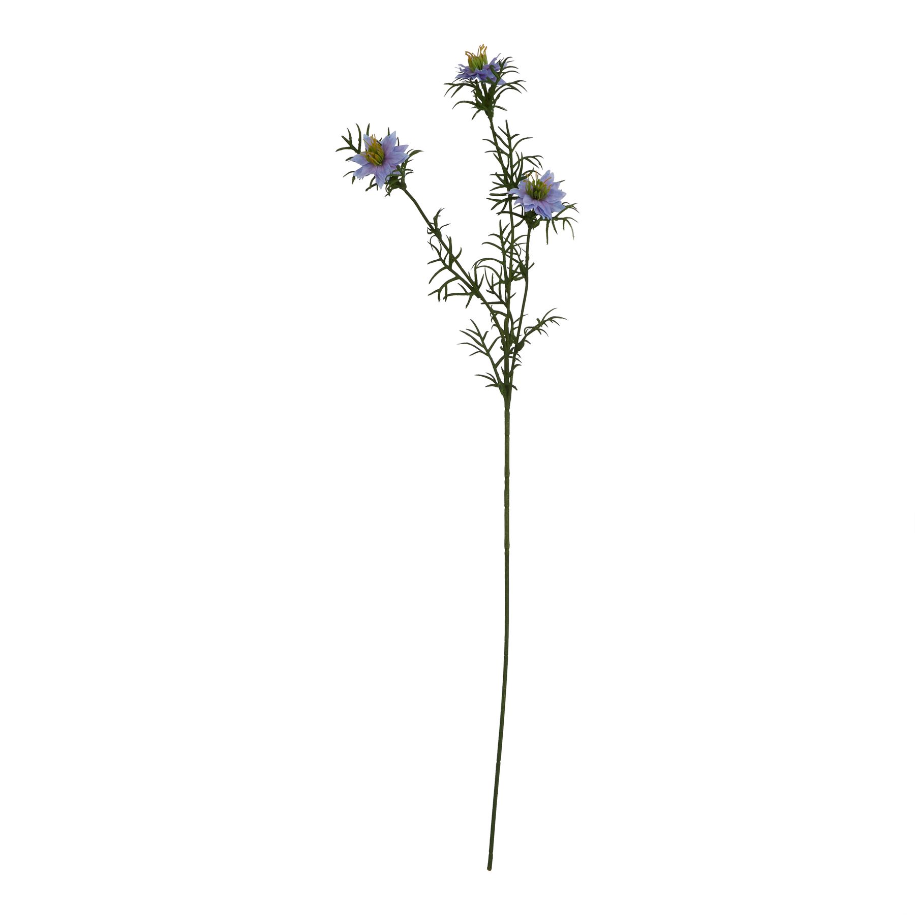 Natural Outdoor Collection Purple Nigella Love In A Mist - Corinthia Corner