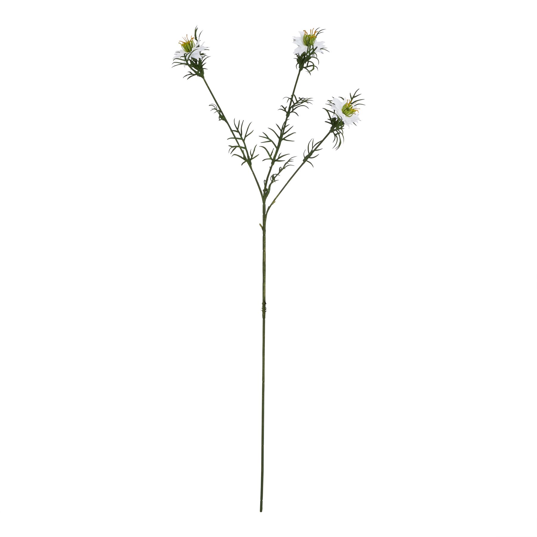 Natural Outdoor Collection White Nigella Love In A Mist - Corinthia Corner