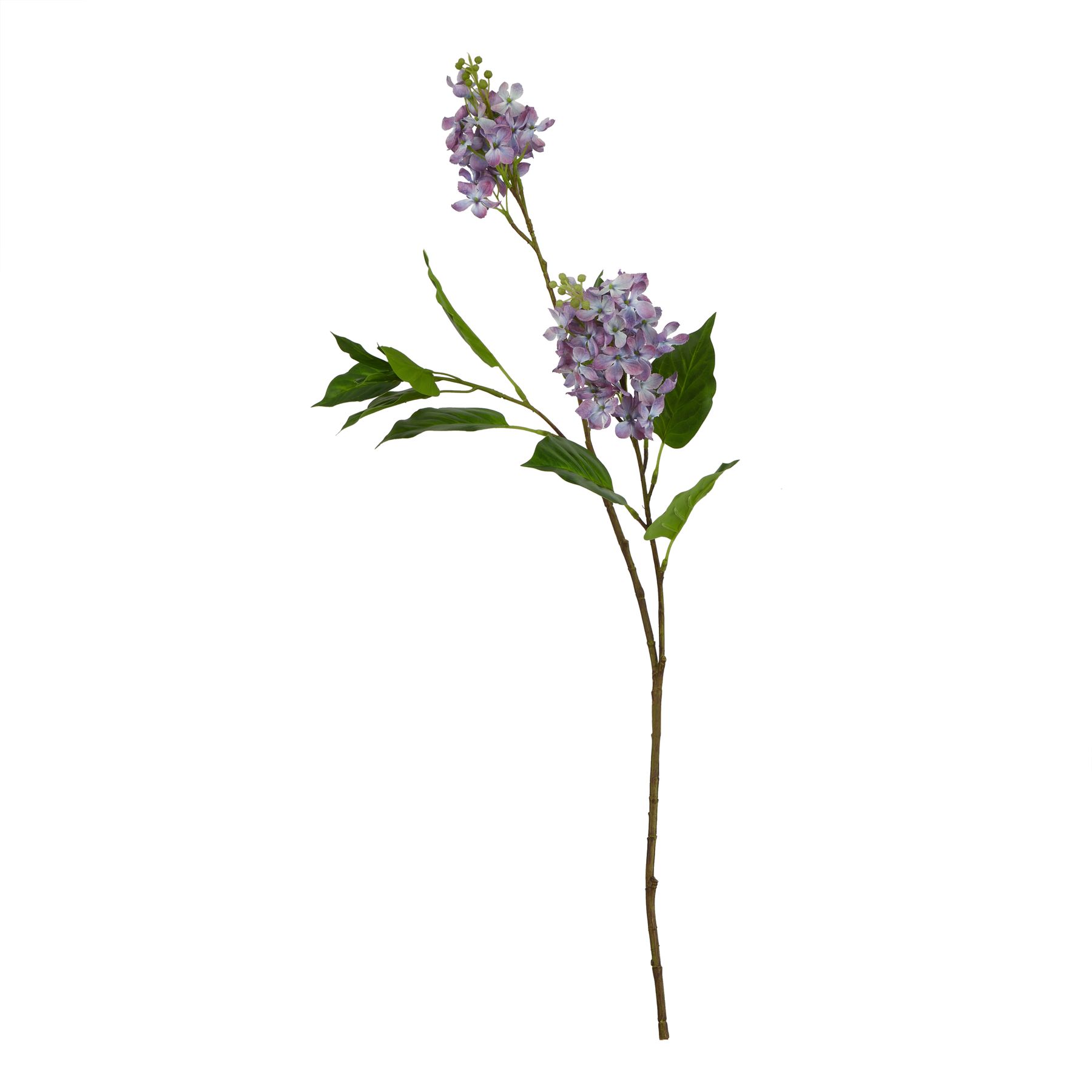 Natural Outdoor Collection Purple Lilac Stem - Corinthia Corner