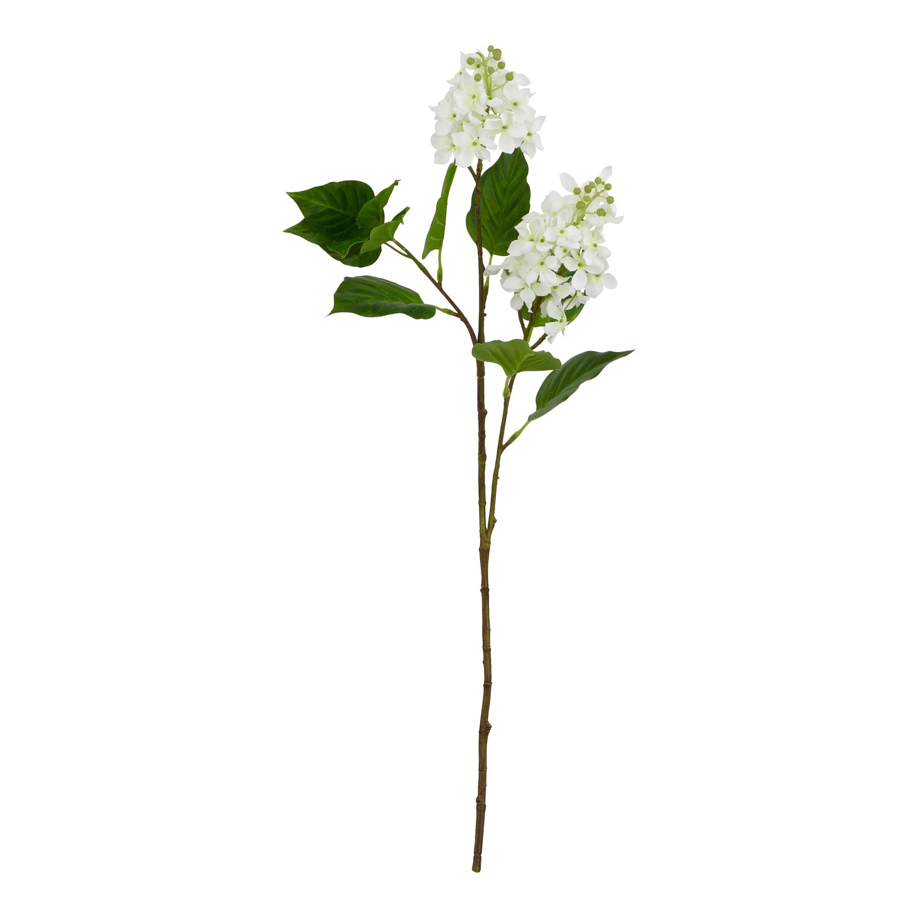 Natural Outdoor Collection White Lilac Stem - Corinthia Corner