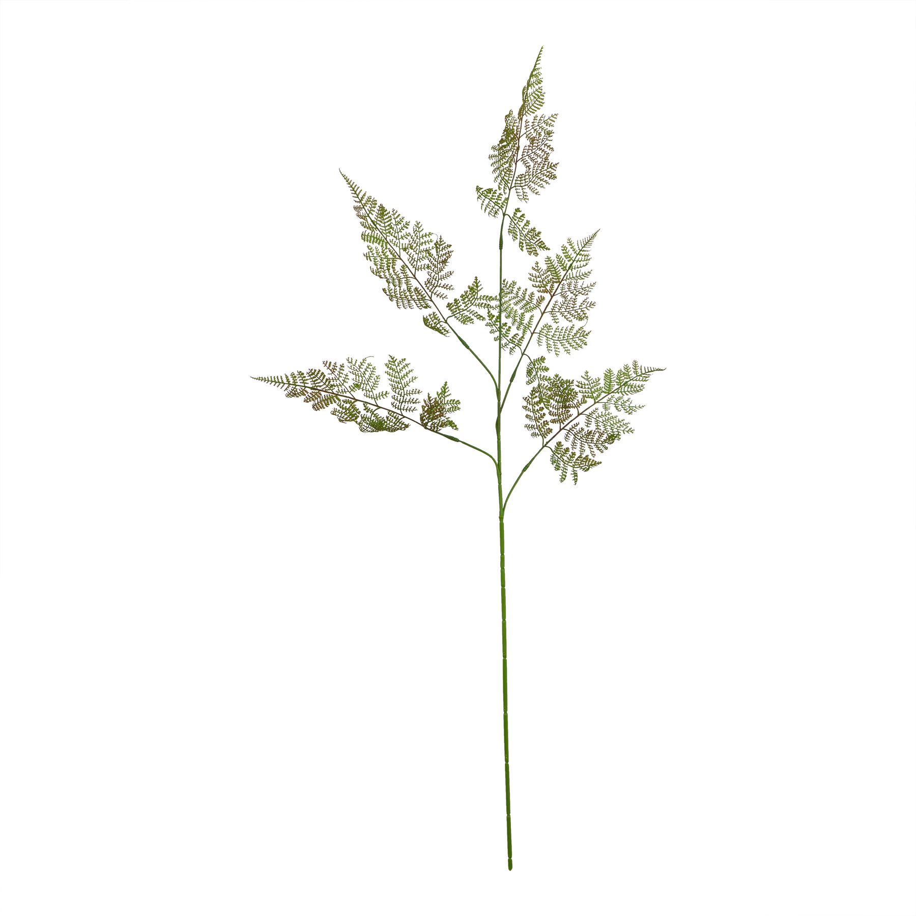 Natural Outdoor Collection Large Bracken Fern Spray - Corinthia Corner