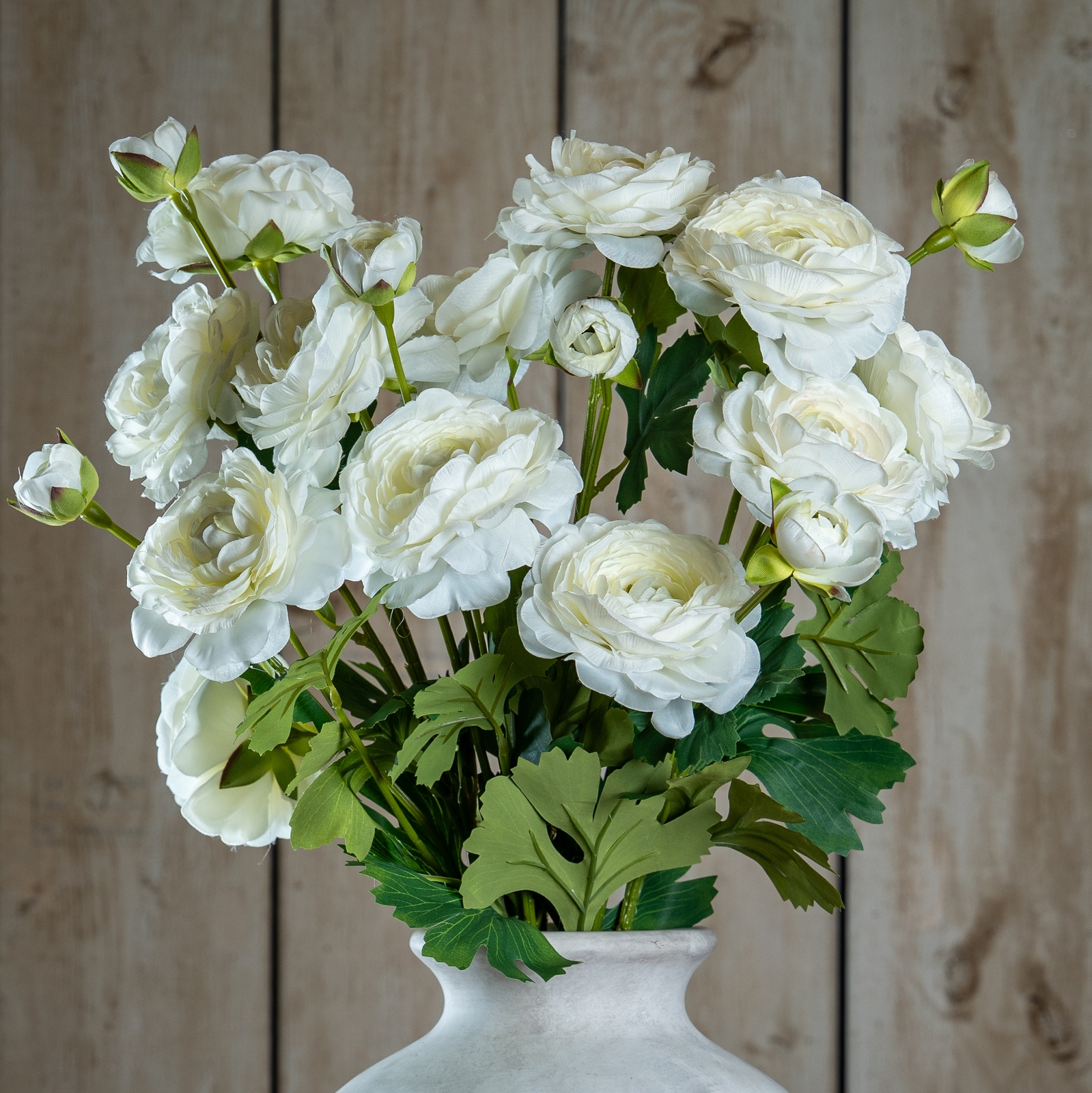 Naro Apricot Ranunculus - Corinthia Corner