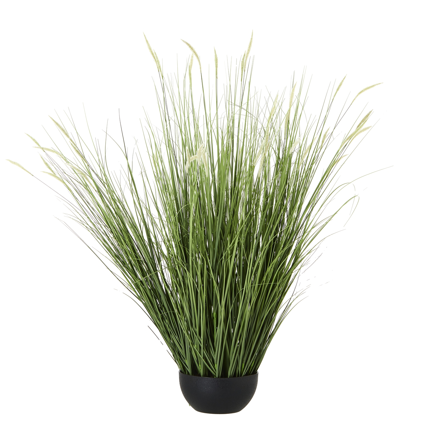 Onion Grass Plant In Pot - Large - Corinthia Corner
