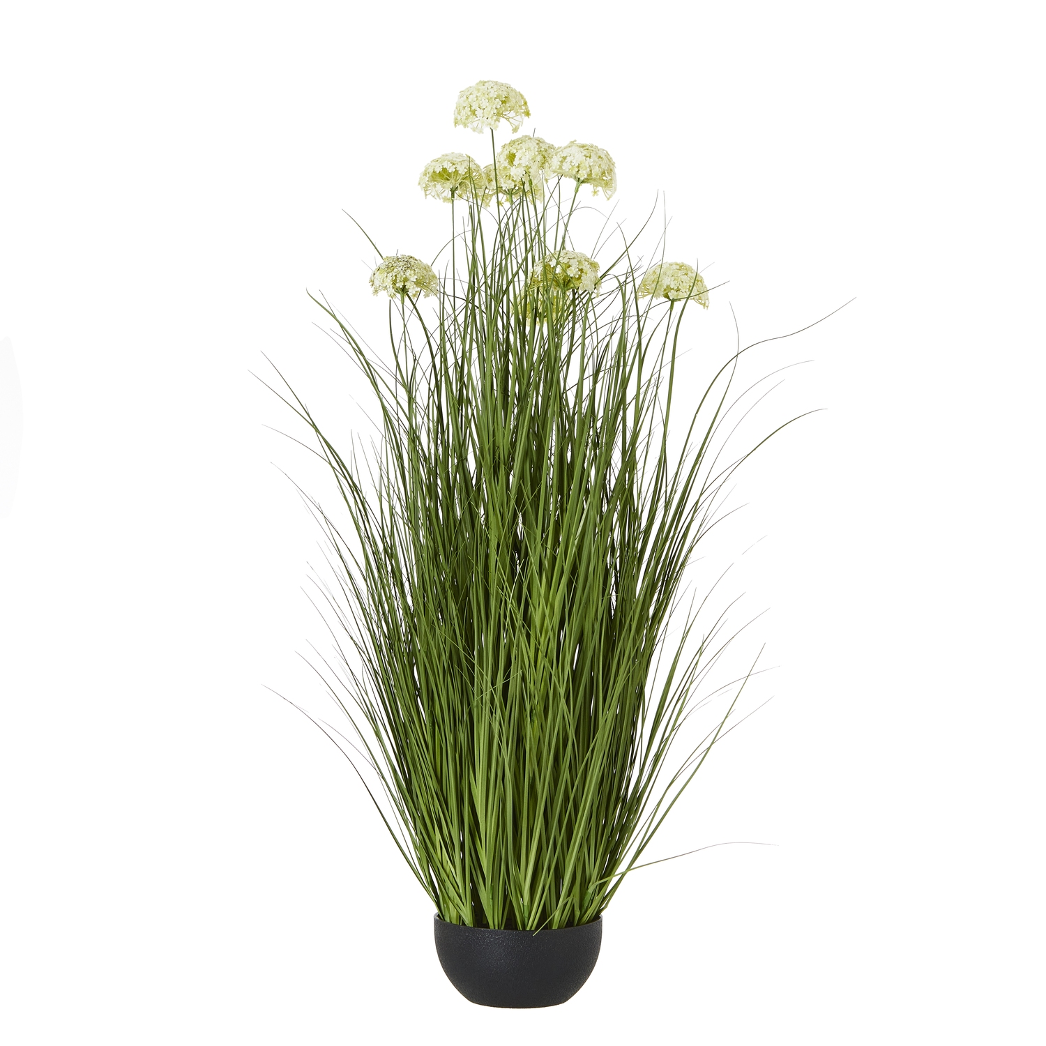 White Allium Plant In Pot - Corinthia Corner