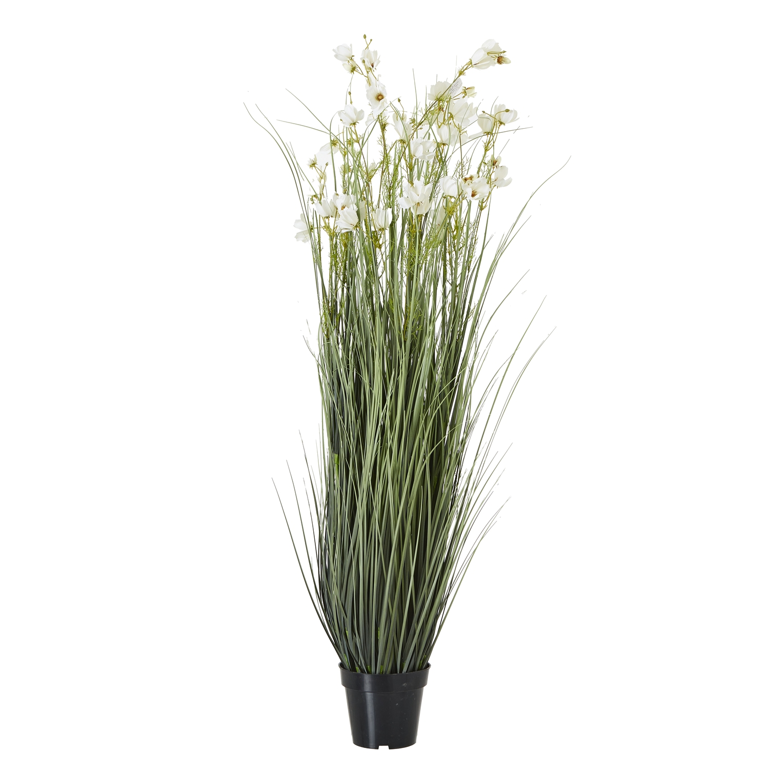 White Meadow Plant In Pot - Large - Corinthia Corner