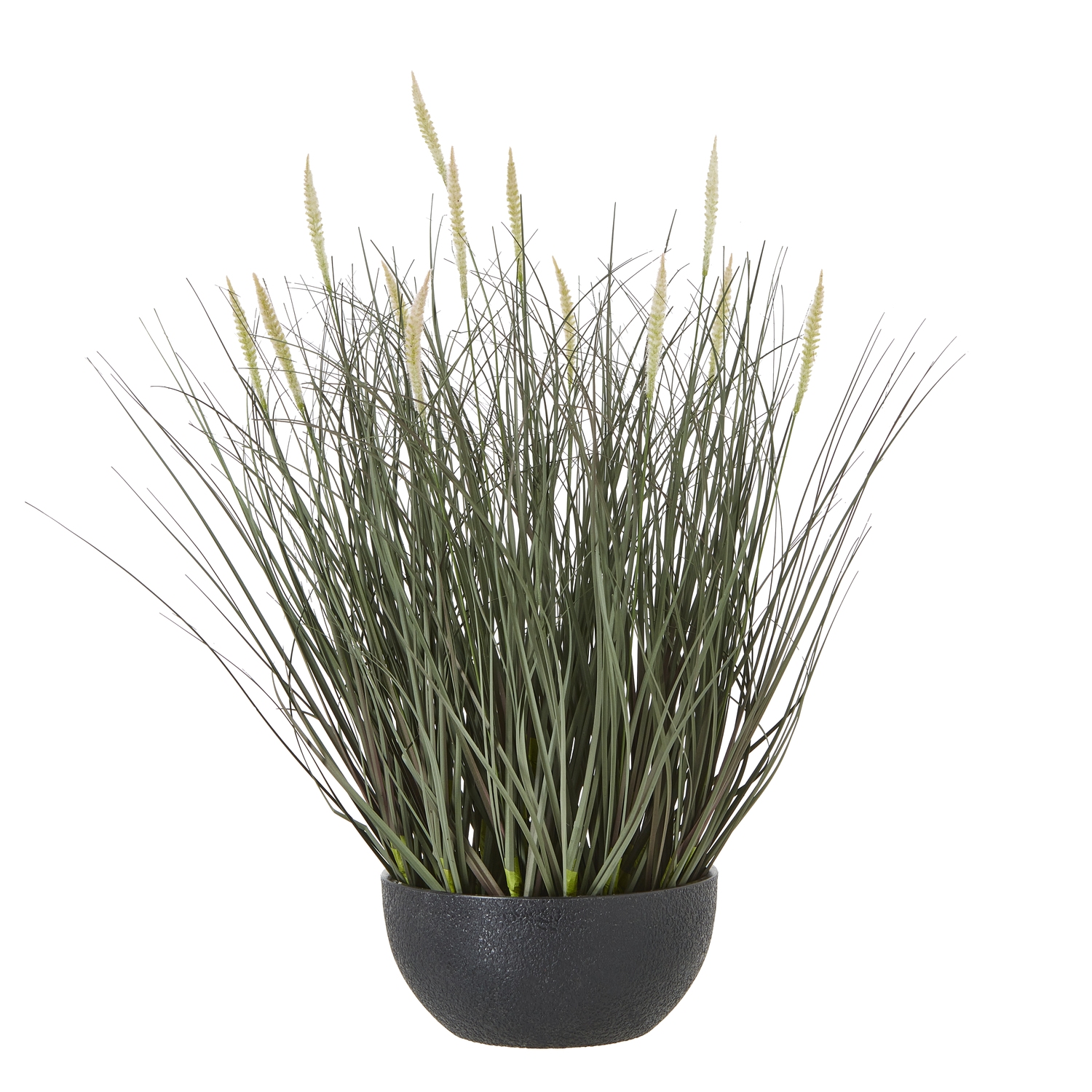 Fountain Grass Plant In Pot - Corinthia Corner