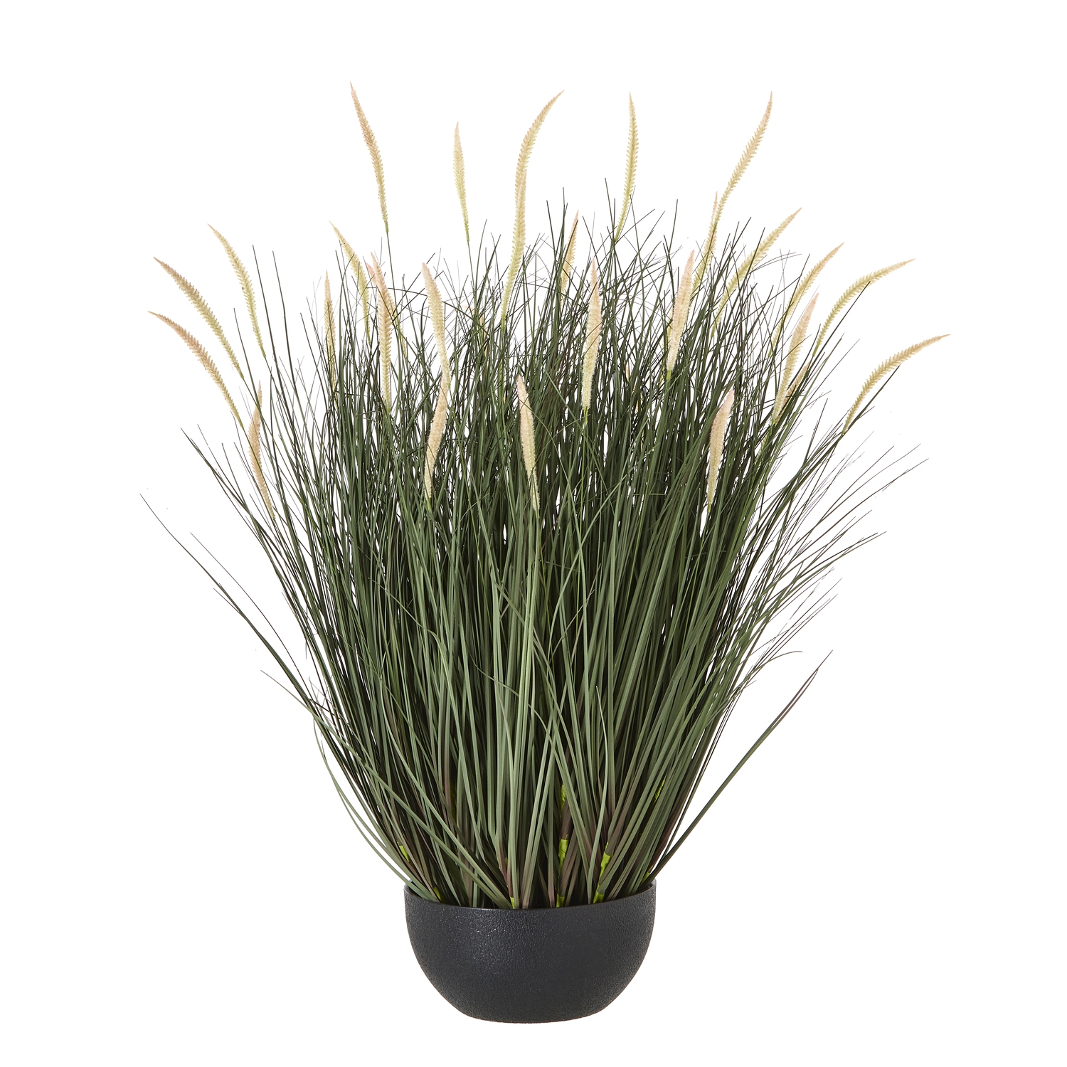 Fountain Grass Plant In Pot - Large - Corinthia Corner