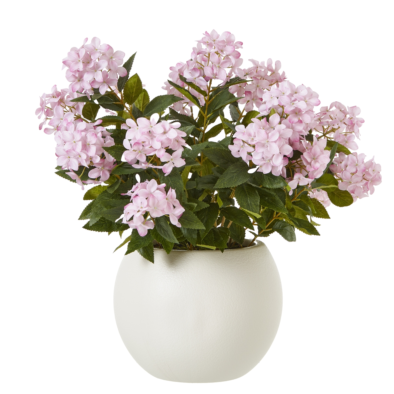 Pink Hydrangea Plant In Pot - Large - Corinthia Corner