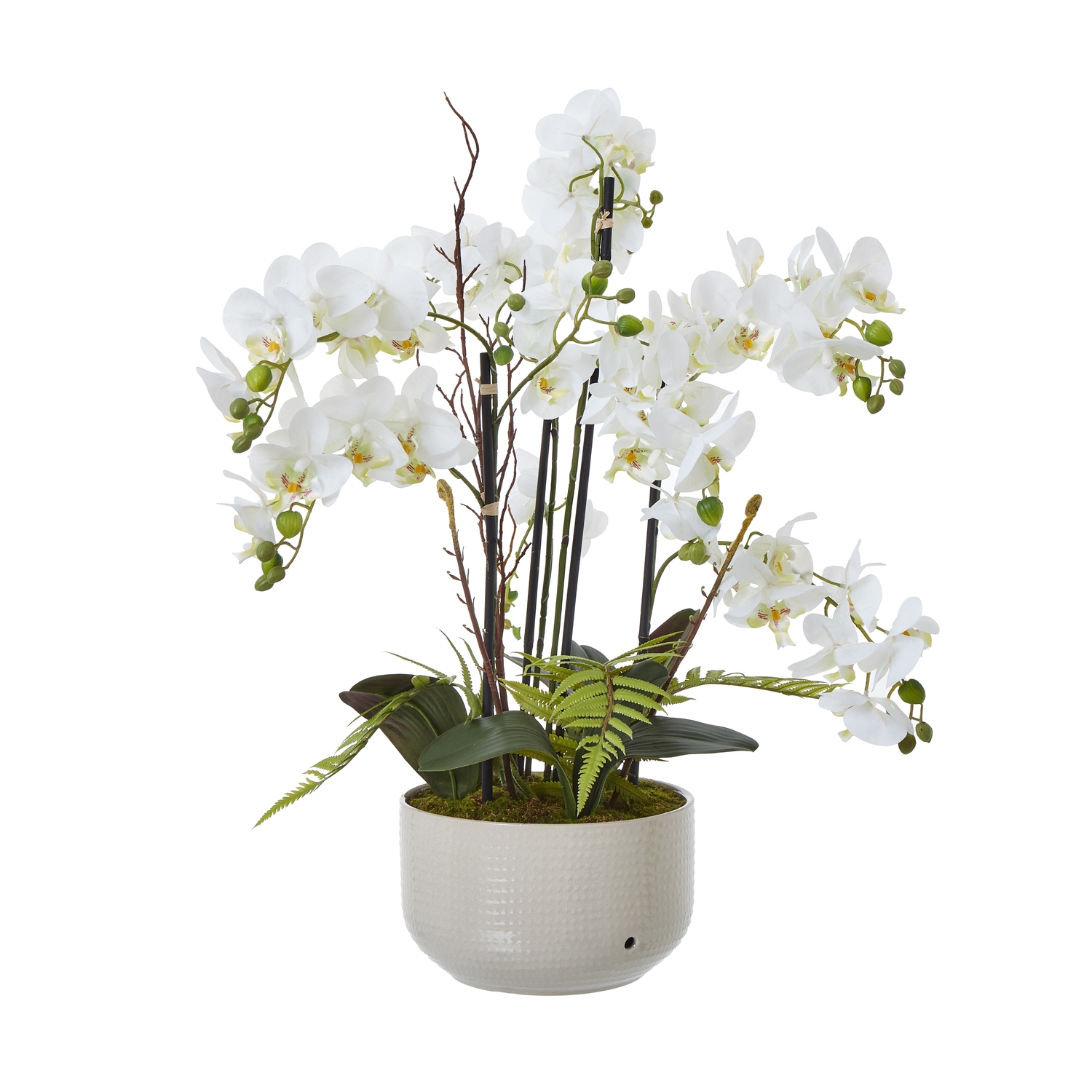 White Orchid In Ceramic Pot - Large - Corinthia Corner