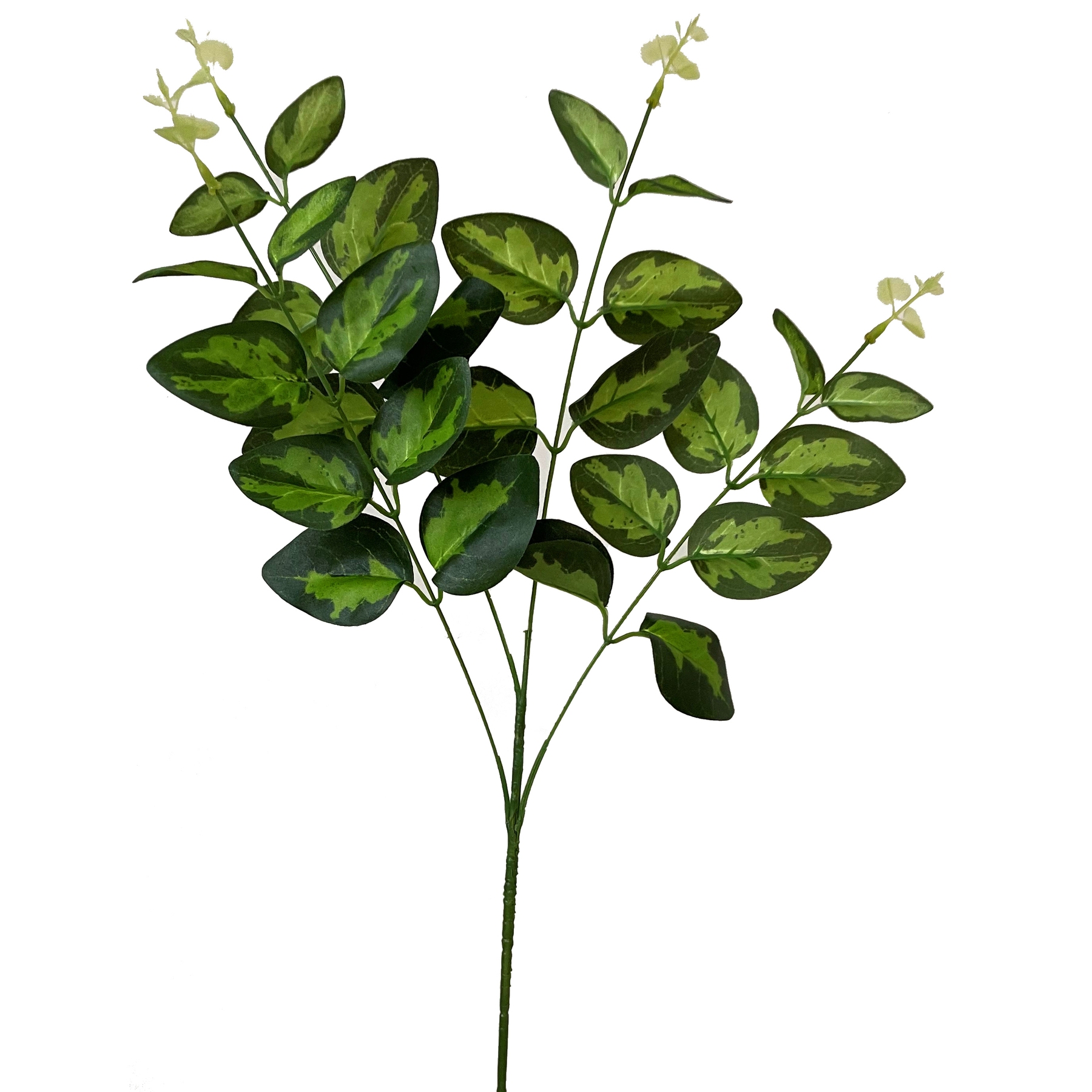 Variegated Leaf Spray - Green - Corinthia Corner
