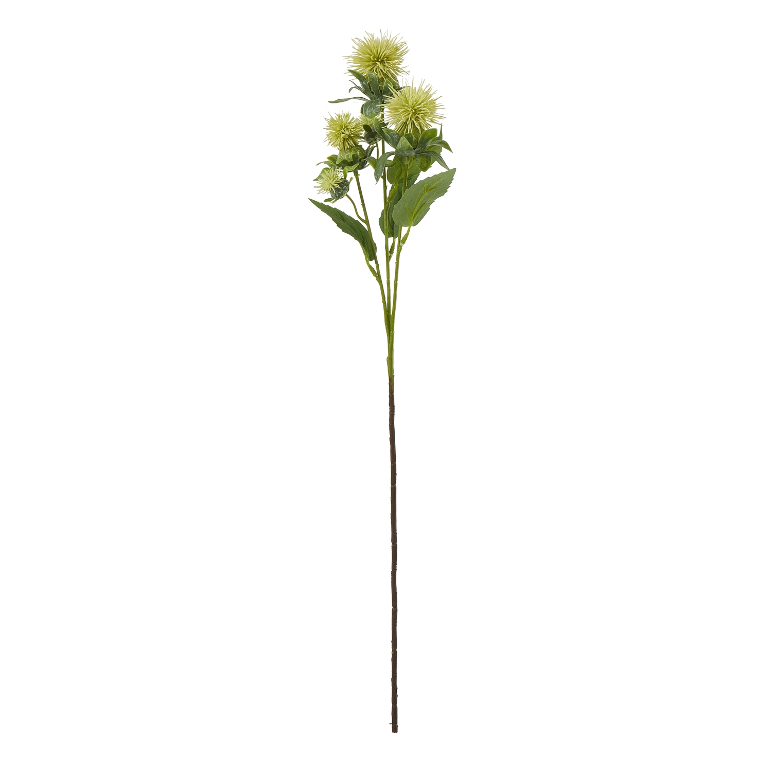 Blanor Green Safflower Spray - Corinthia Corner