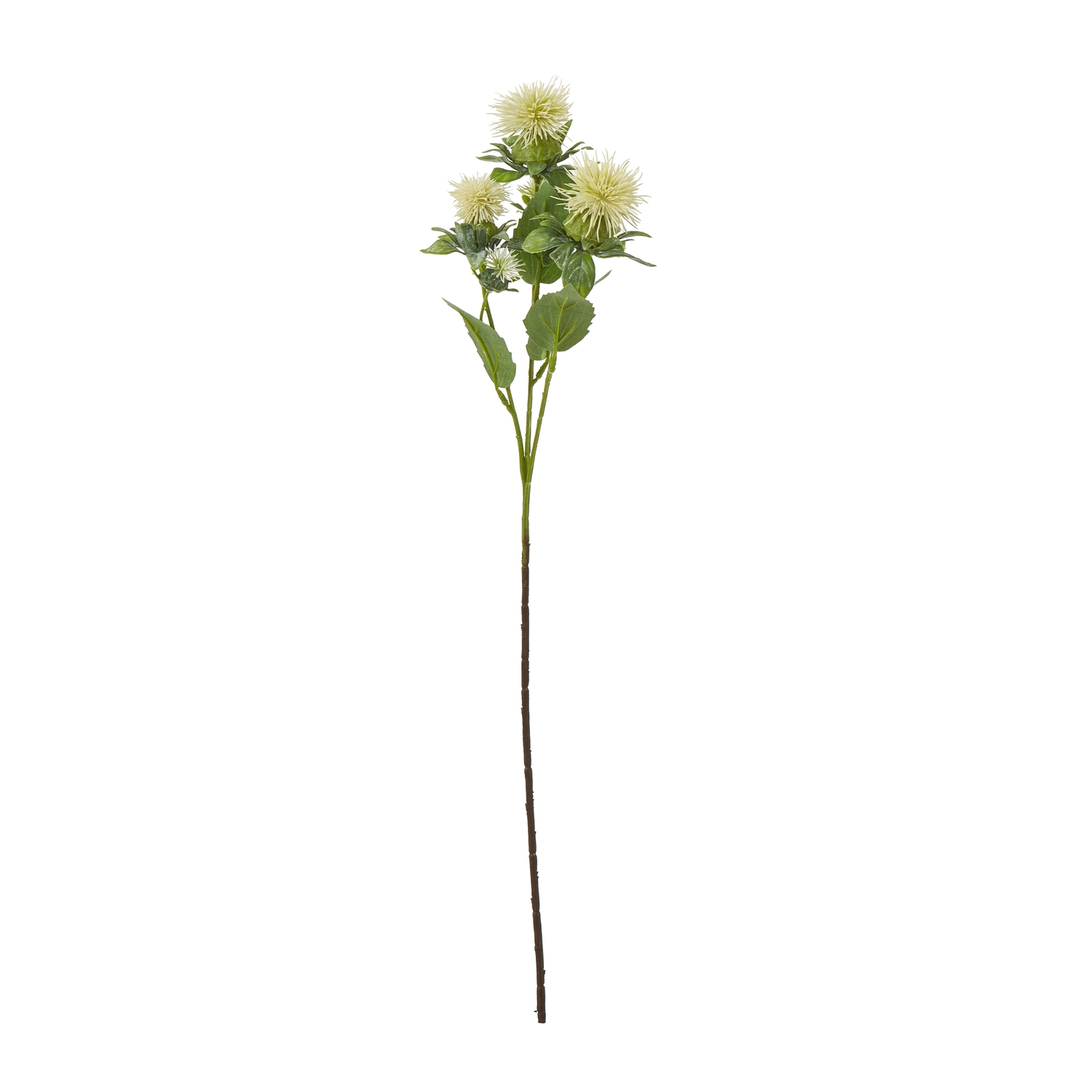 Cremo Safflower Spray - Corinthia Corner