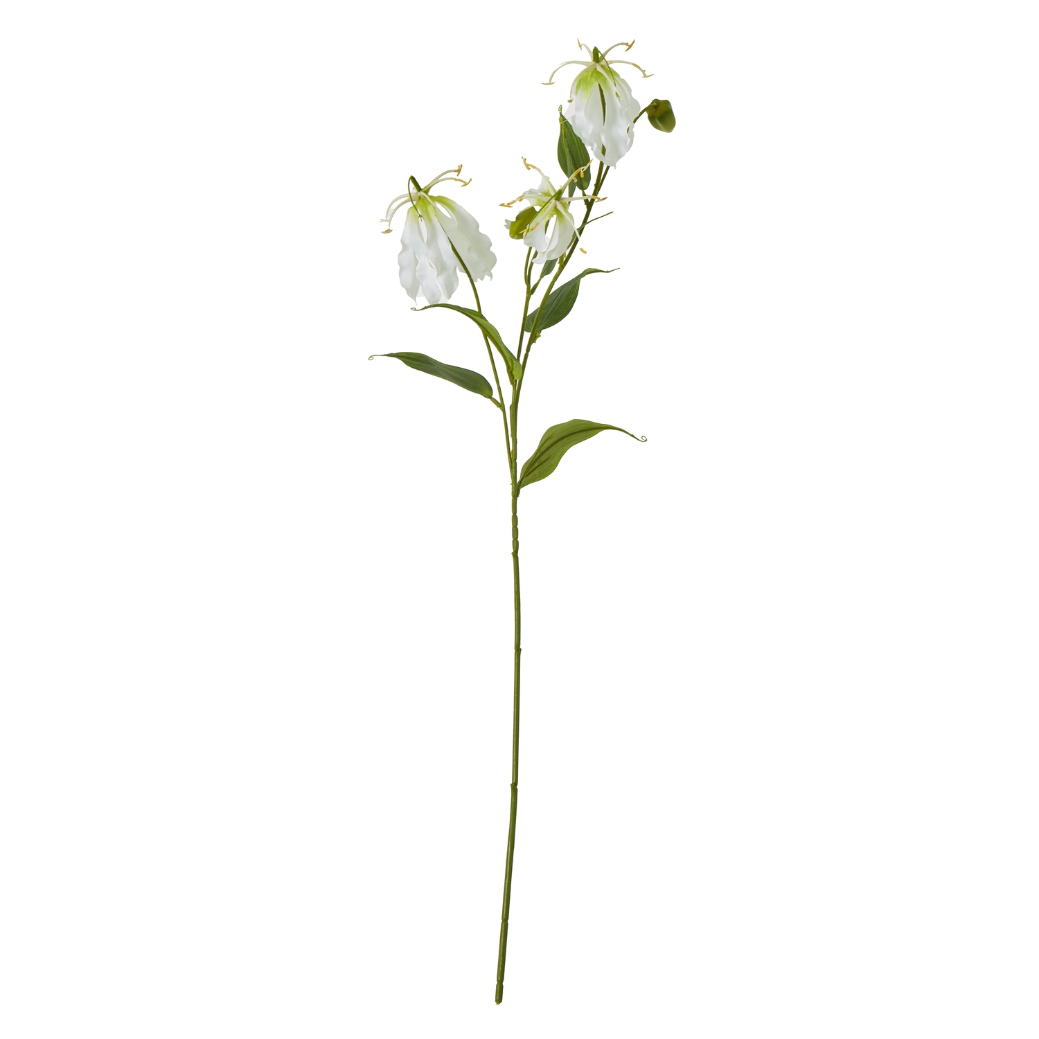 Cremo Gloriosa Spray - Corinthia Corner