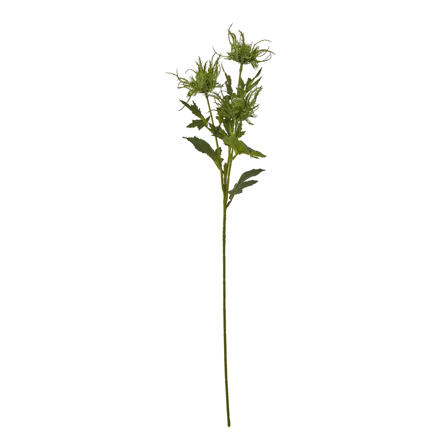Blanor Green Sea Holly Spray - Corinthia Corner