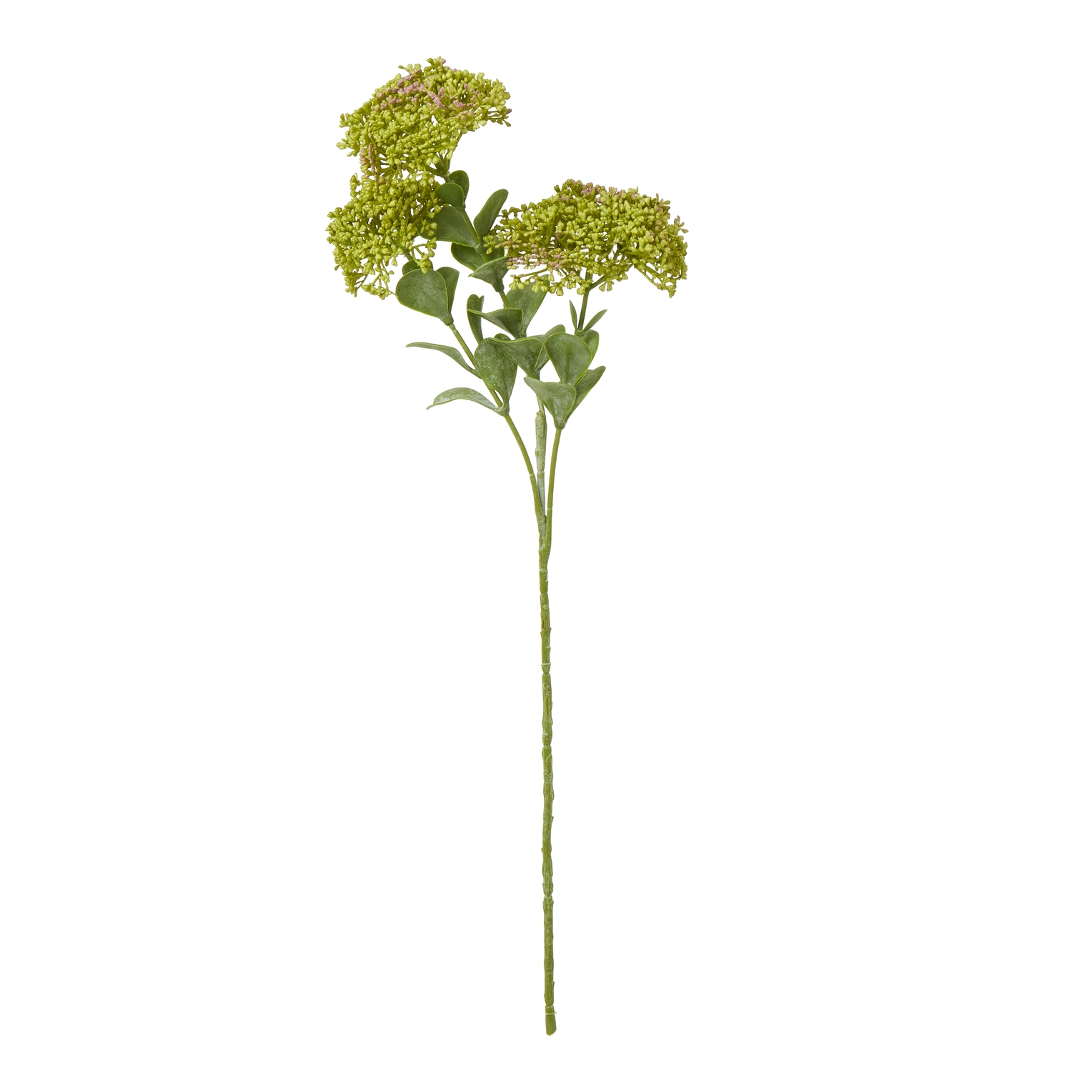 Blanor Green Sedum Spray - Corinthia Corner