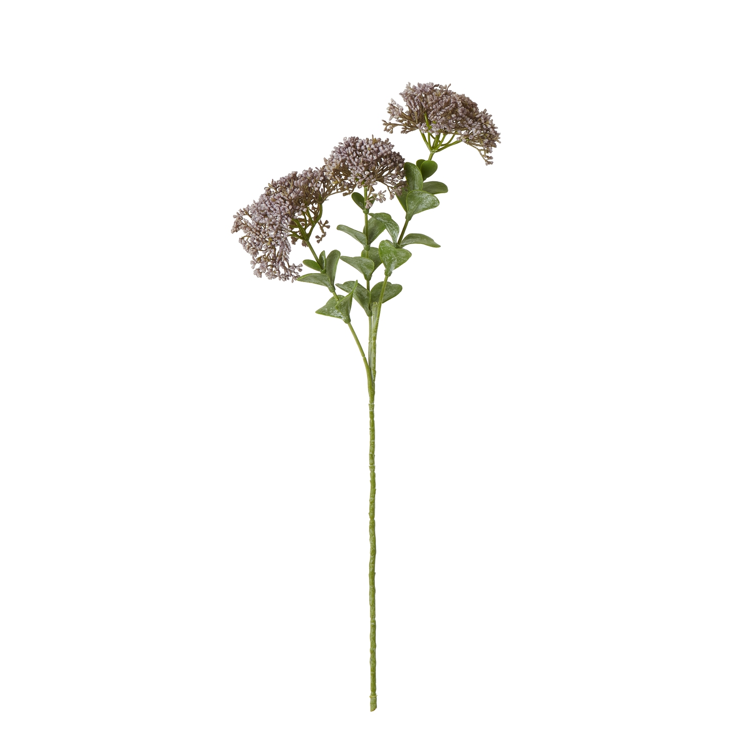 Purpo Sedum Spray - Corinthia Corner