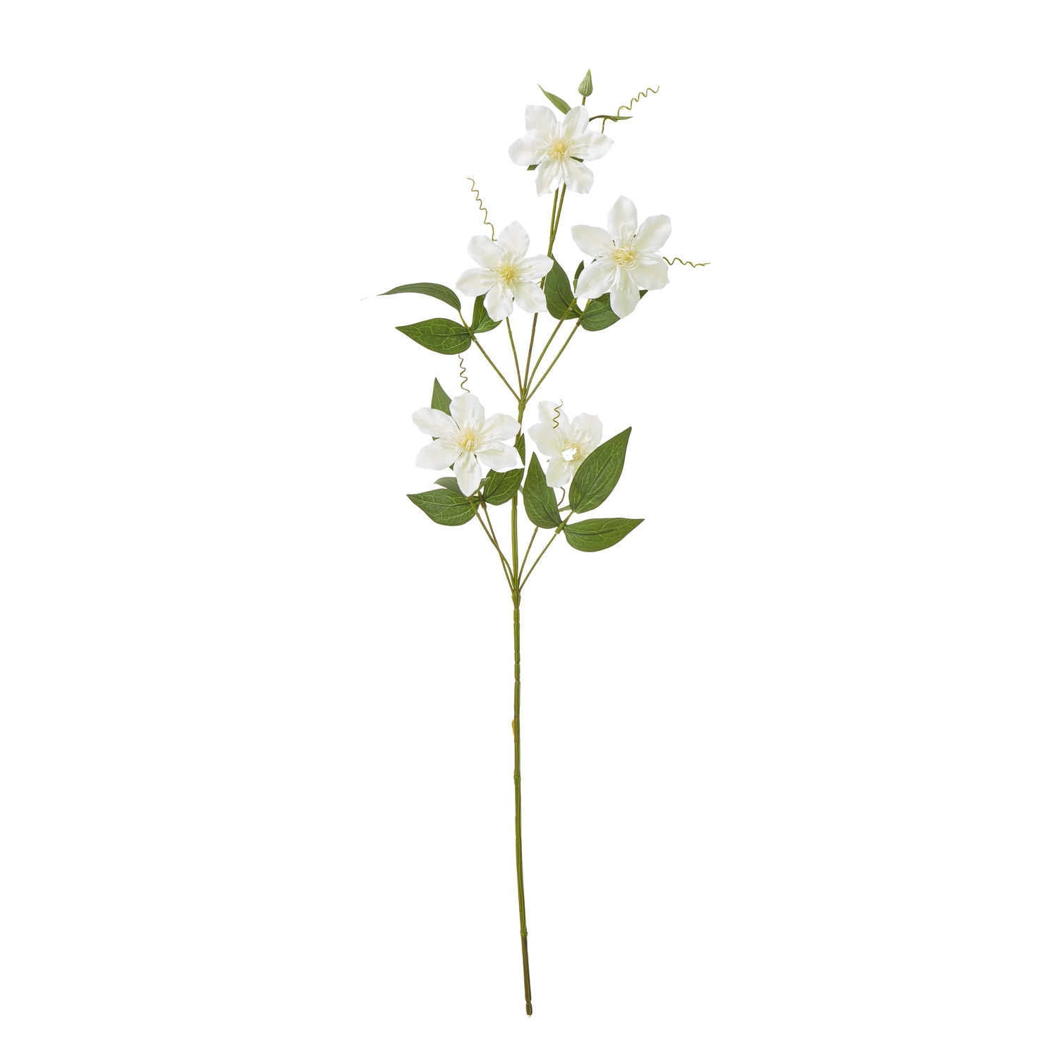 Cremo Pearl Clematis Spray - Corinthia Corner