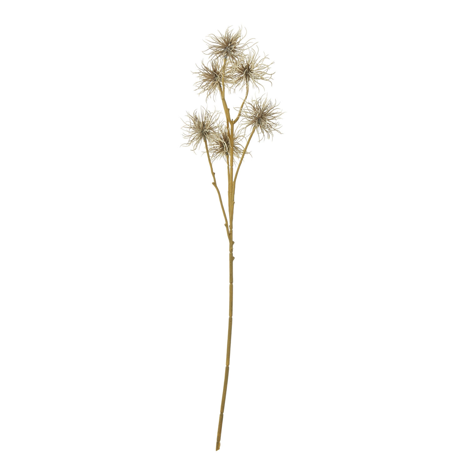 Blanor Brown Xanthium Spray - Corinthia Corner