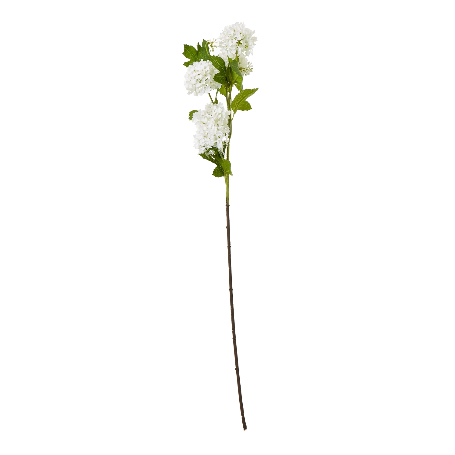 Cremo Snowball Viburnum Spray - Corinthia Corner