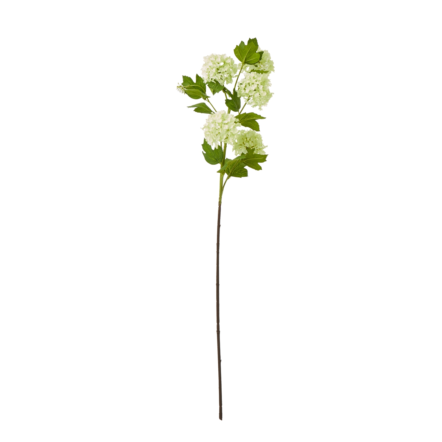 Blanor Green Snowball Viburnum Spray - Corinthia Corner