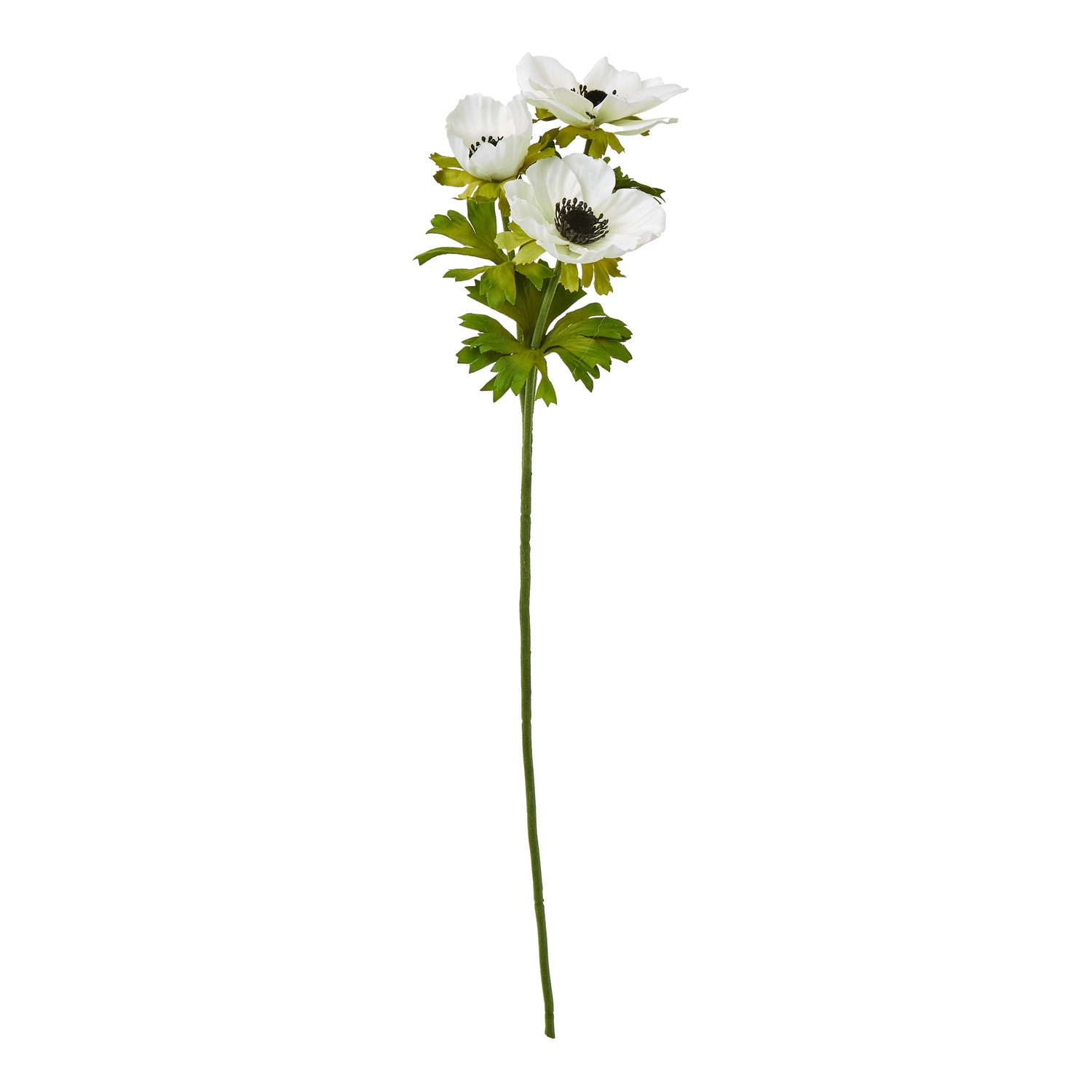 White Anemone Spray - Corinthia Corner