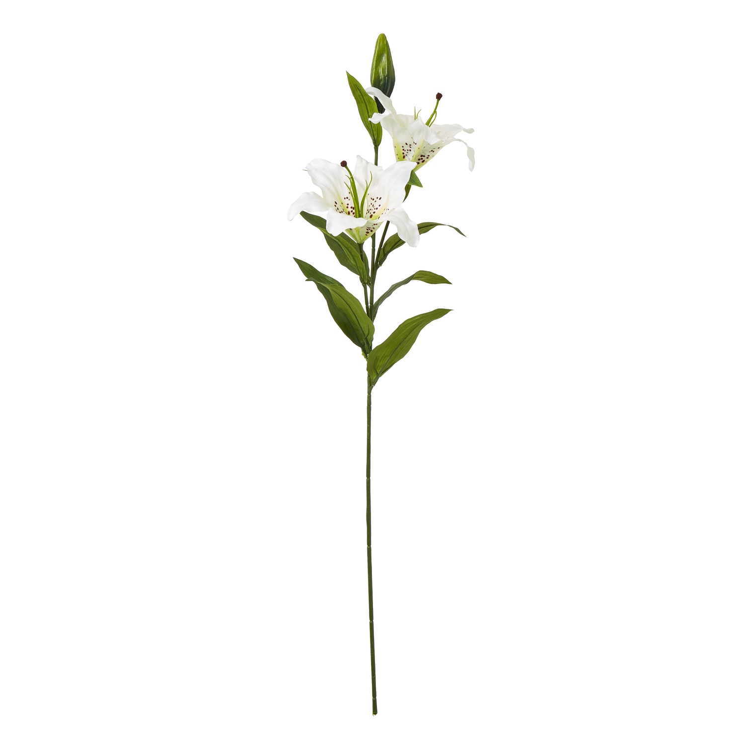 White Madonna Lily Spray - Corinthia Corner