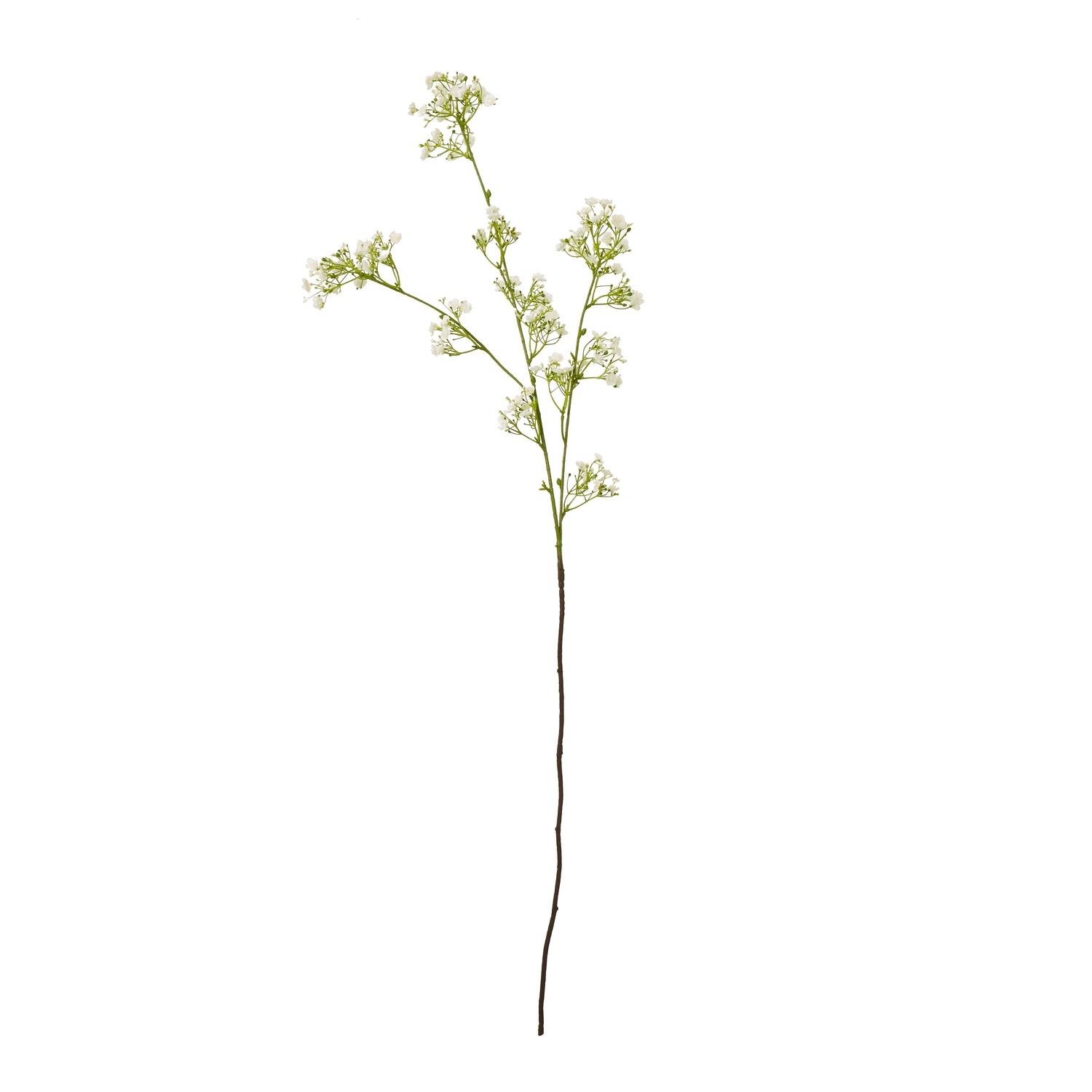 Cremo Gypsophila Spray - Corinthia Corner