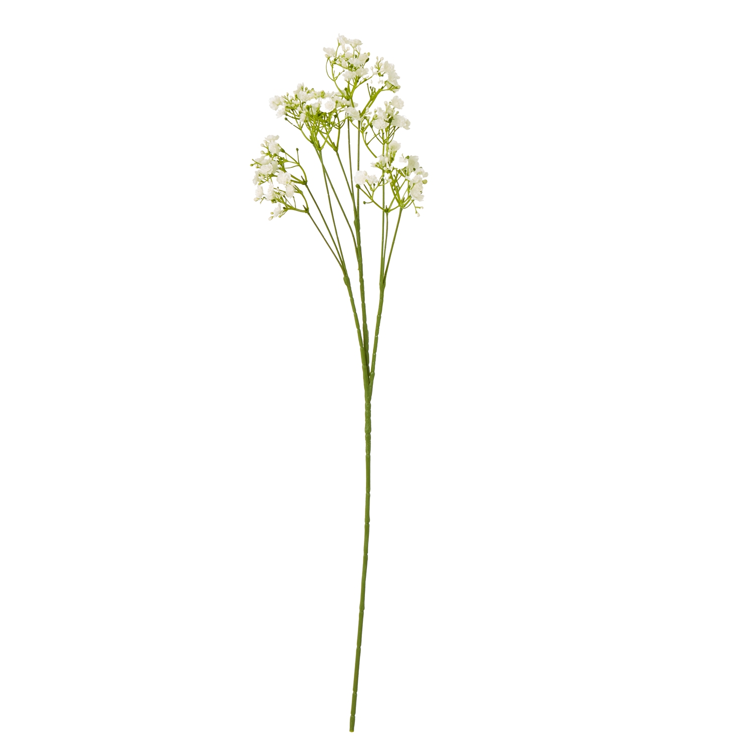 Cremo Gypsophila Stem - Corinthia Corner