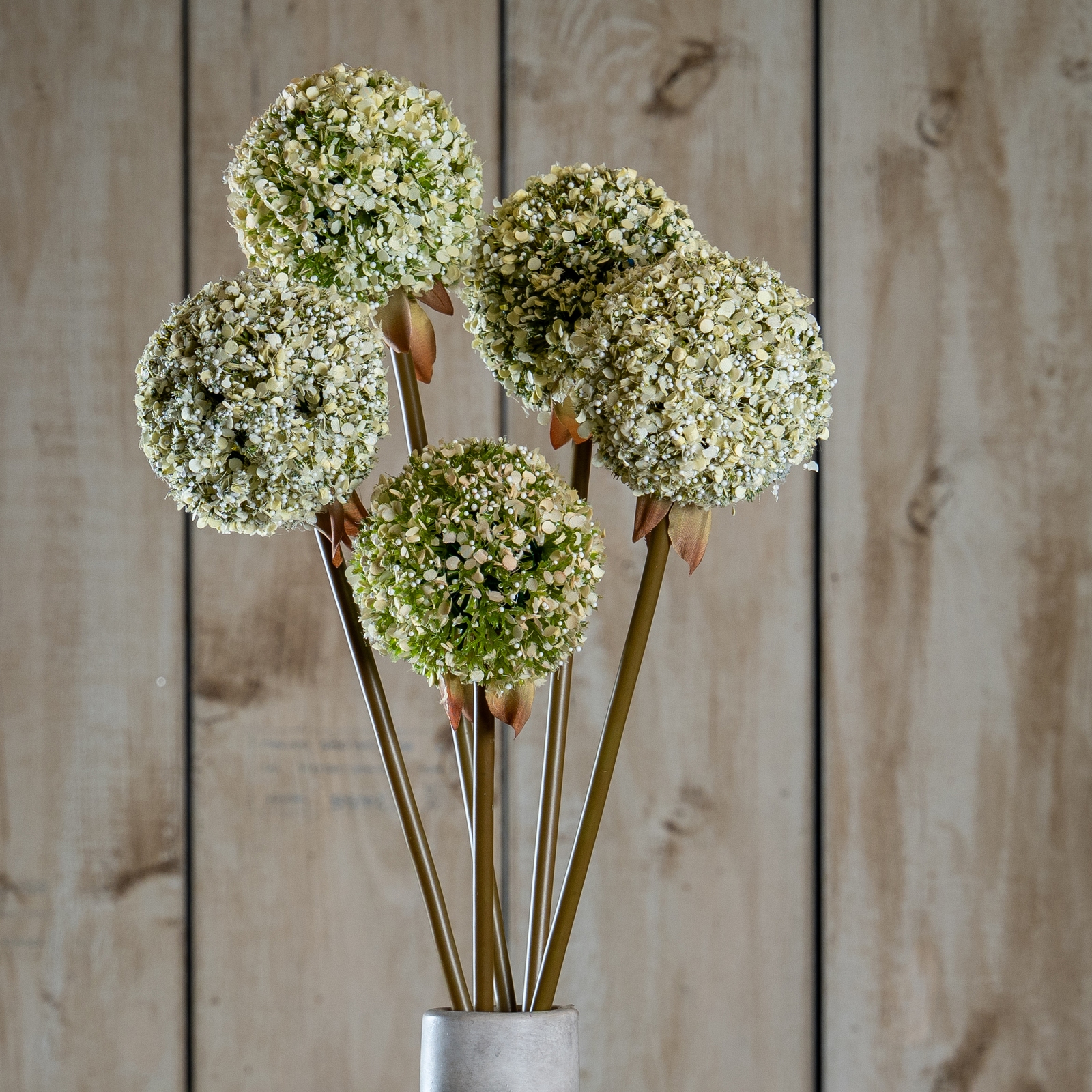 Blanor Green Allium Stem - Corinthia Corner